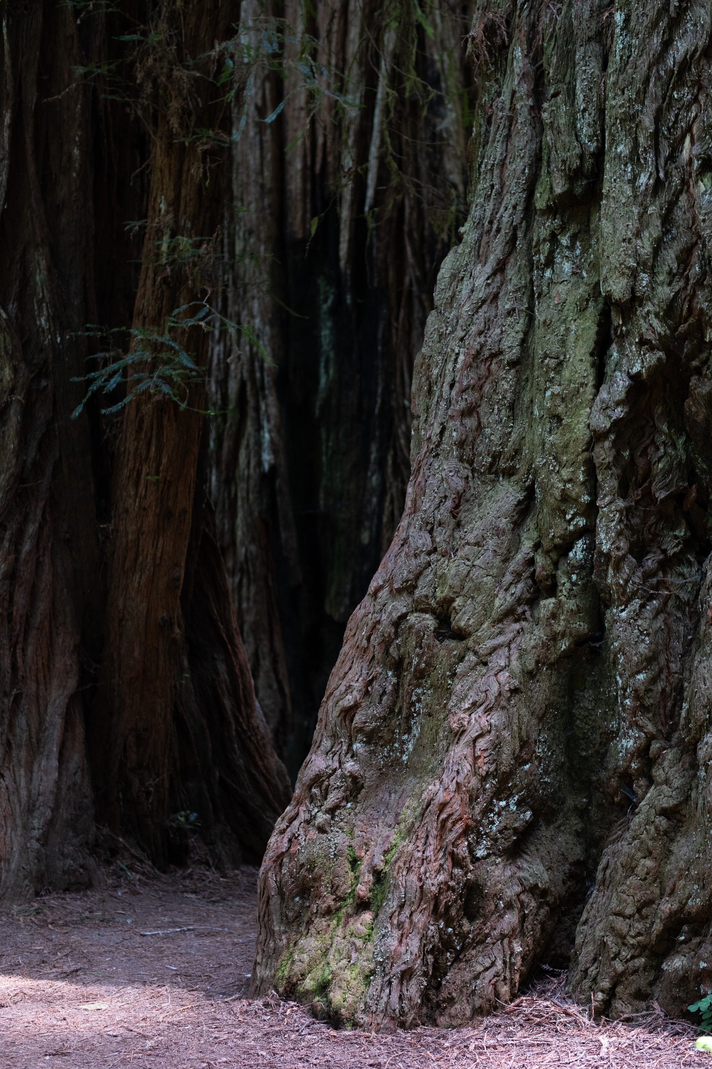 WestCoastTrip-53.jpg