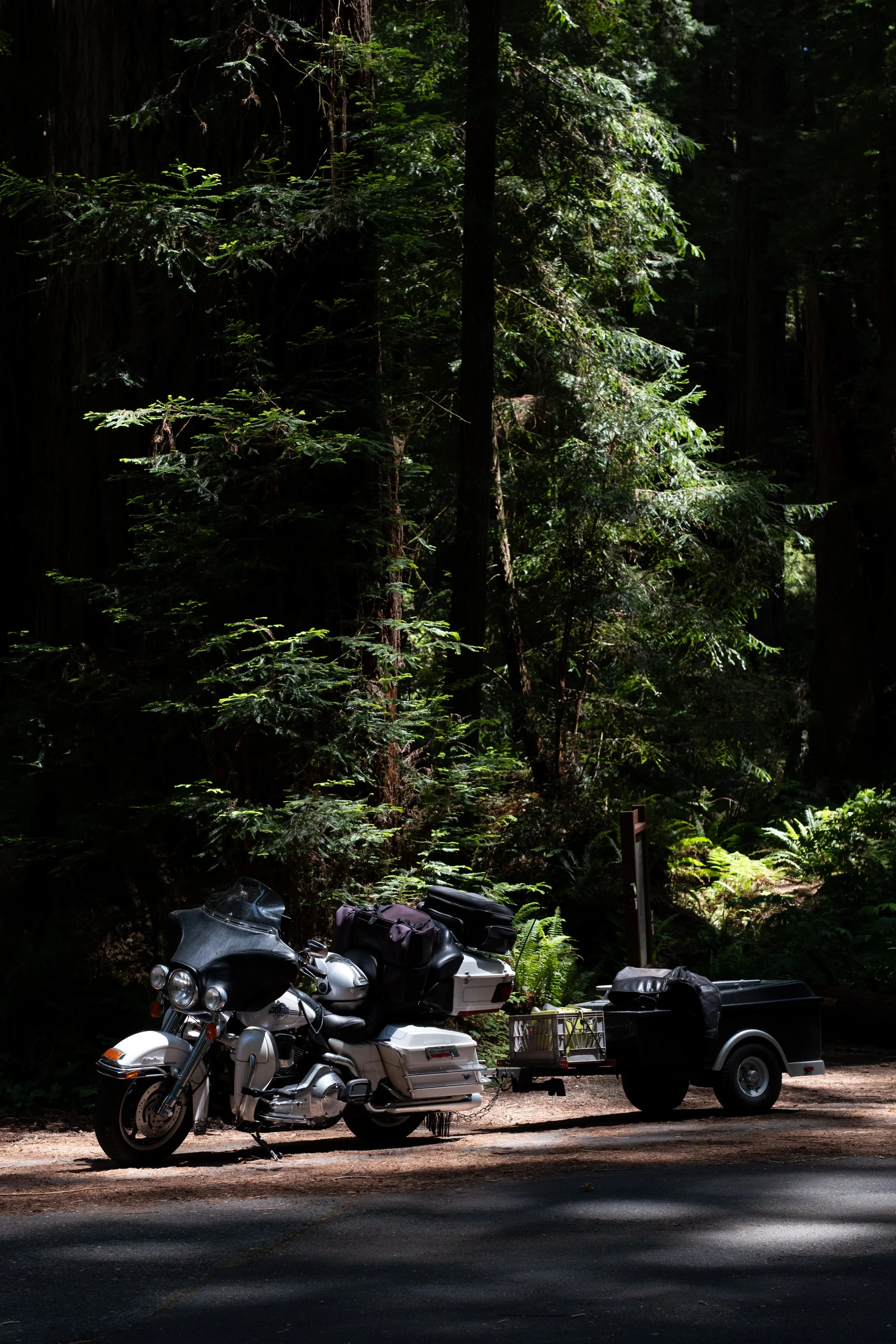 WestCoastTrip-52.jpg