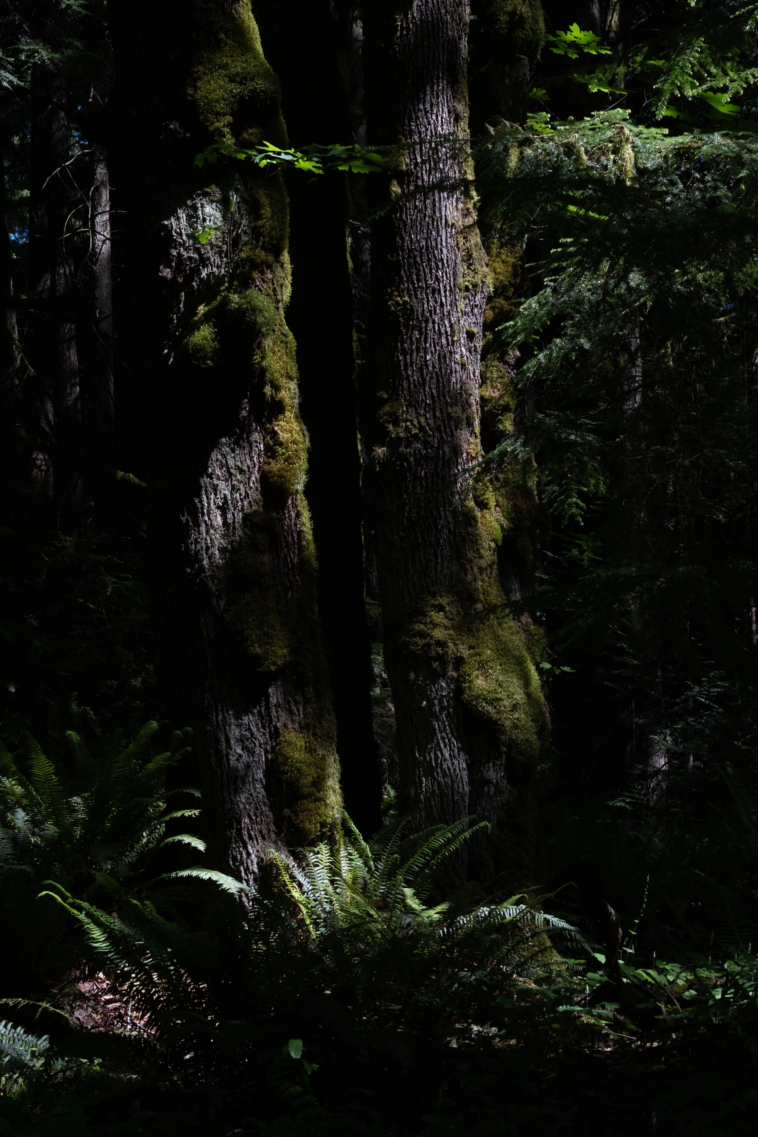 WestCoastTrip-103.jpg