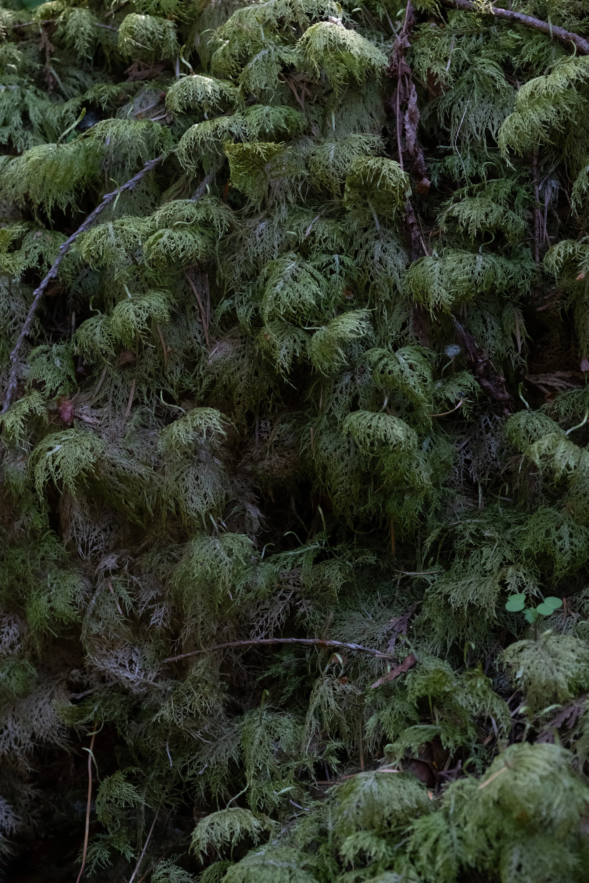 WestCoastTrip-99.jpg