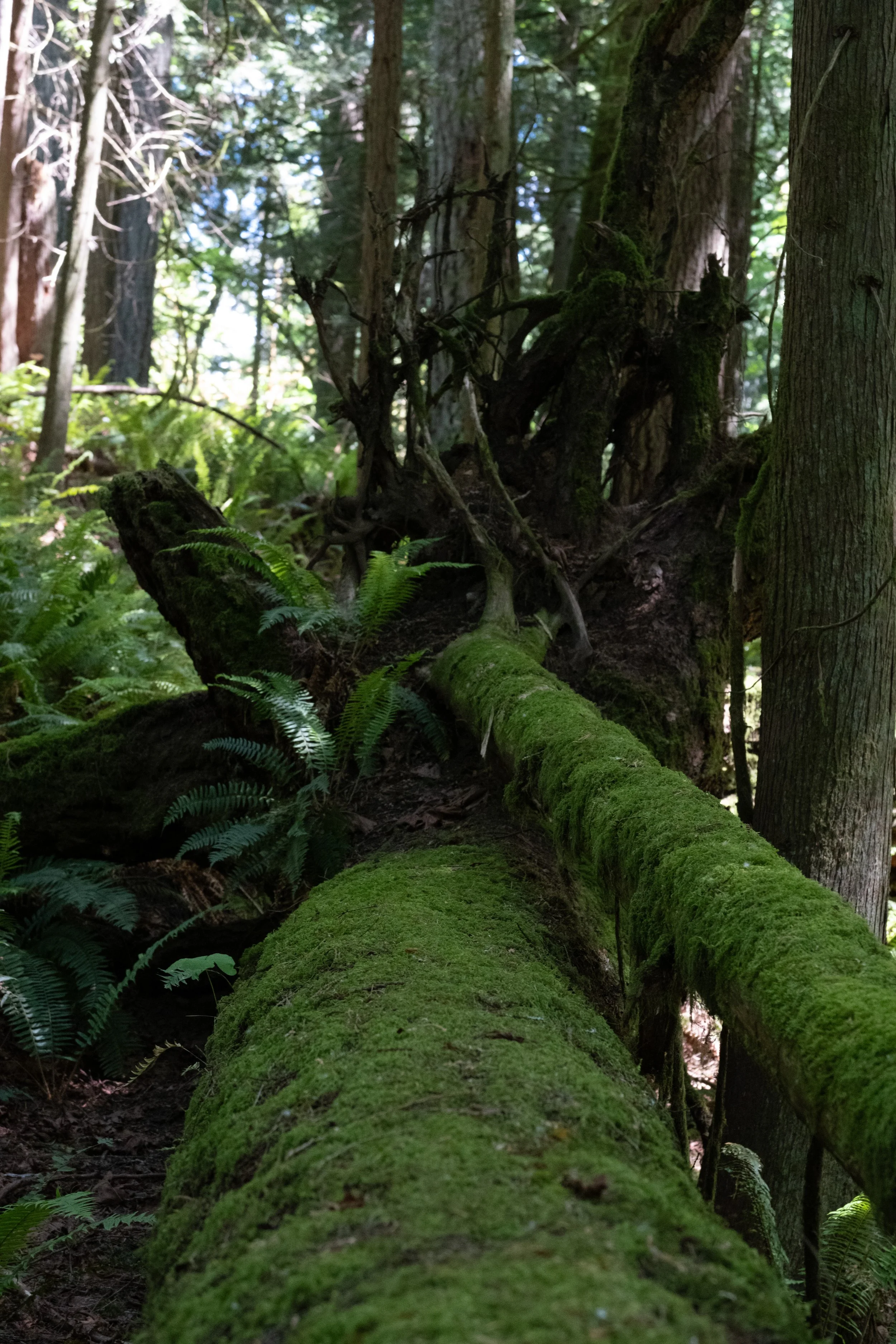 WestCoastTrip-92.jpg