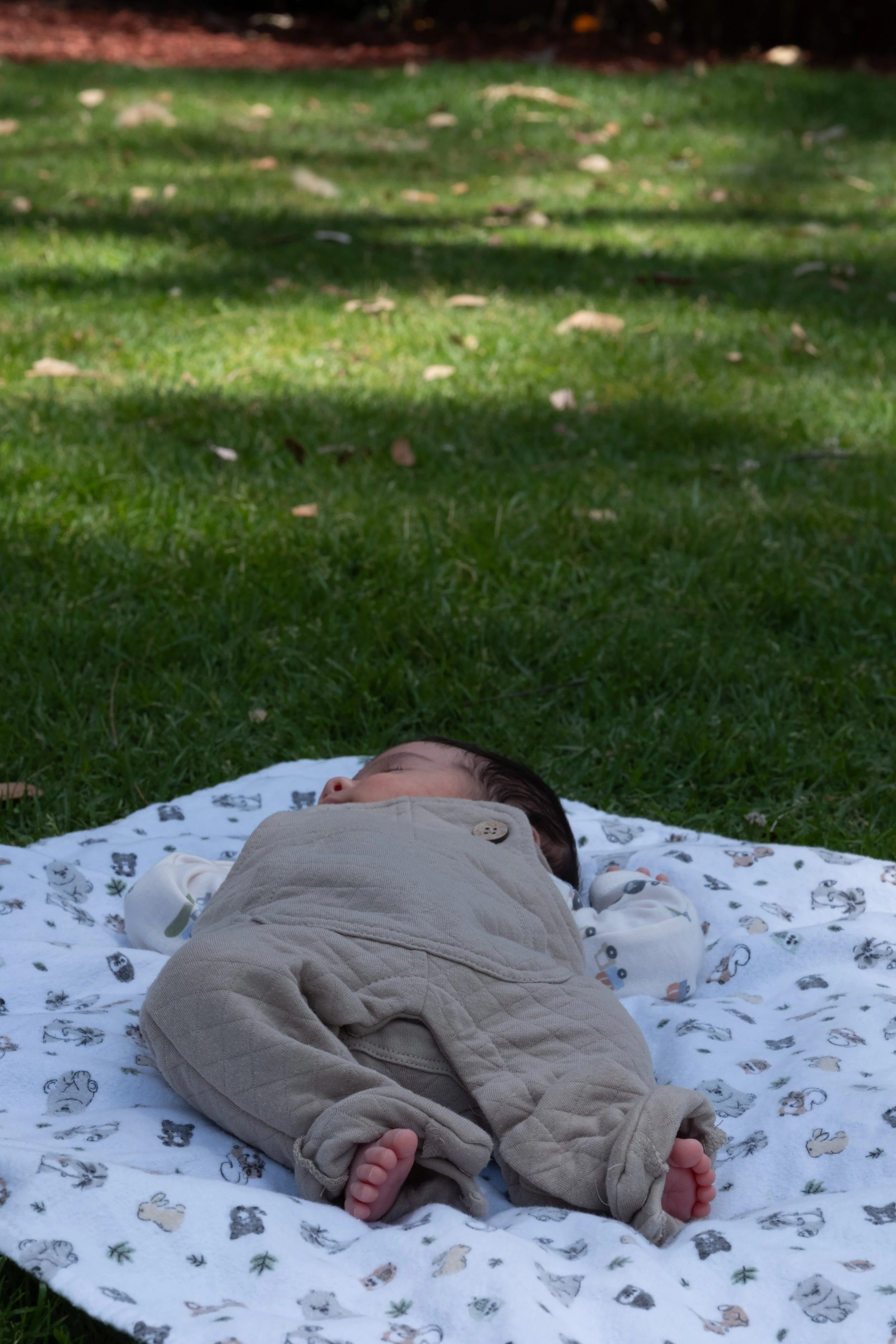 Family Photos-84.jpg
