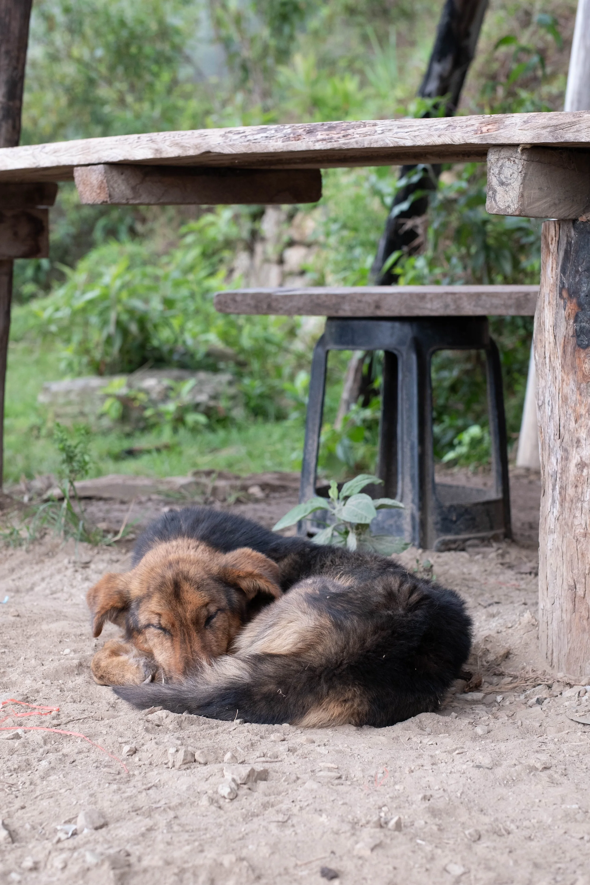 Peru Photos (589 of 1056).jpg