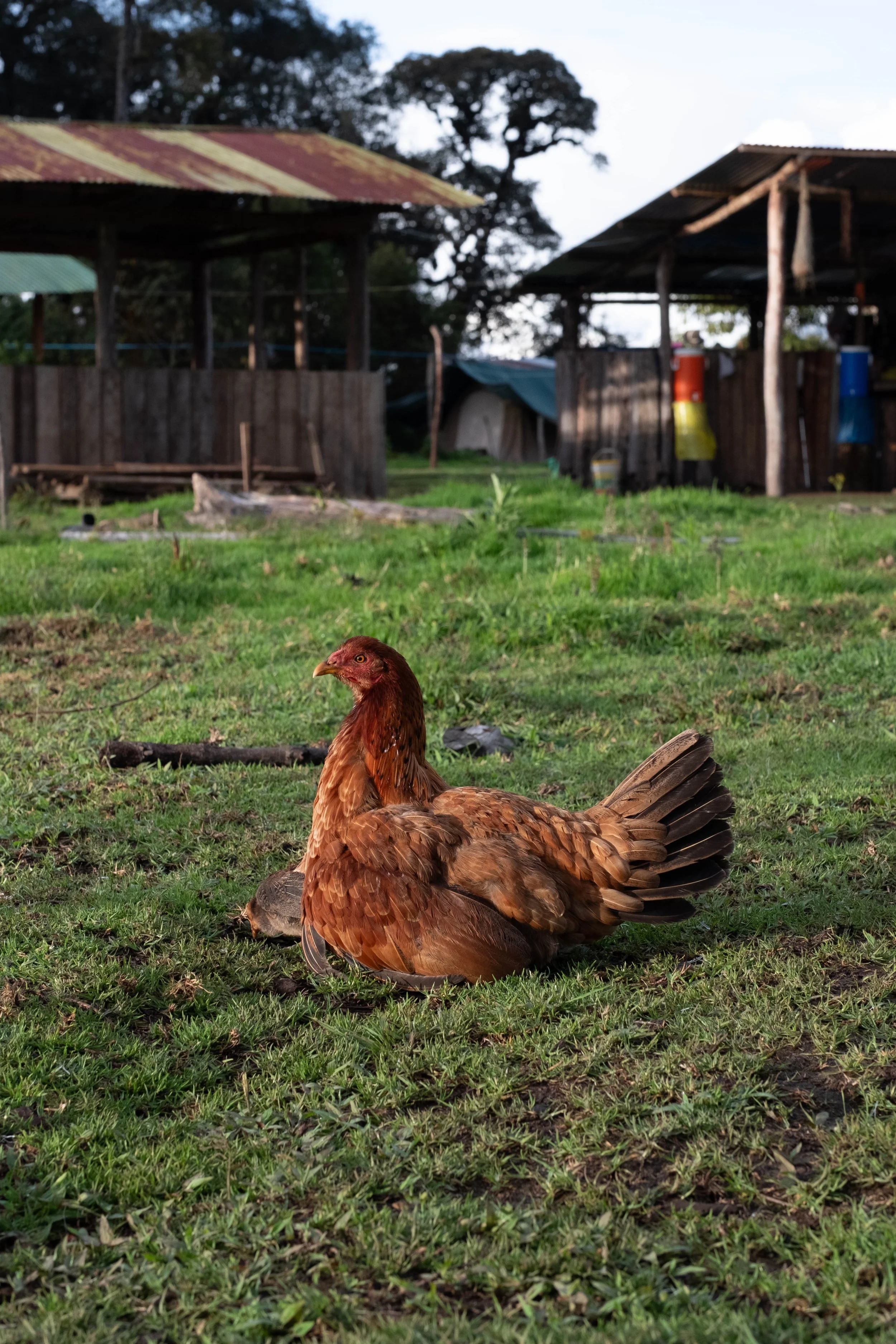 Peru Photos (643 of 1056).jpg