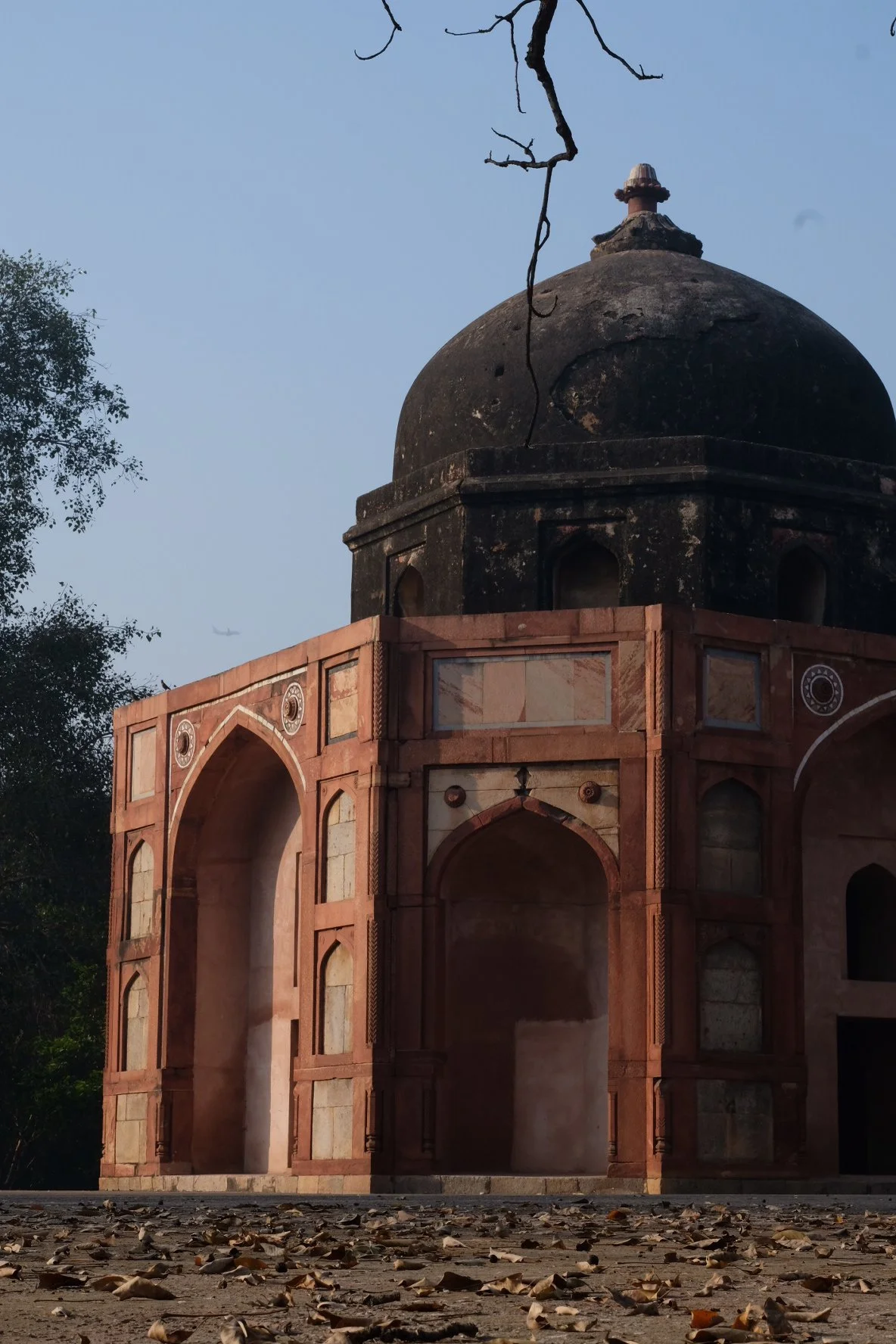 India 2026 (257 of 1053).jpg