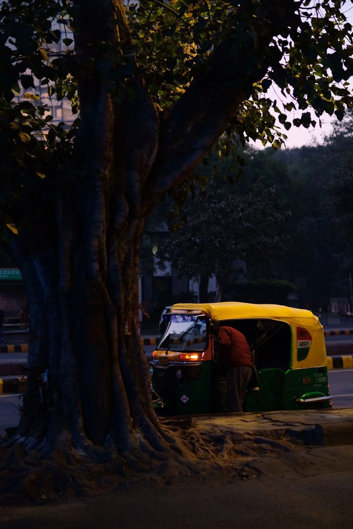 India 2026 (98 of 1053).jpg