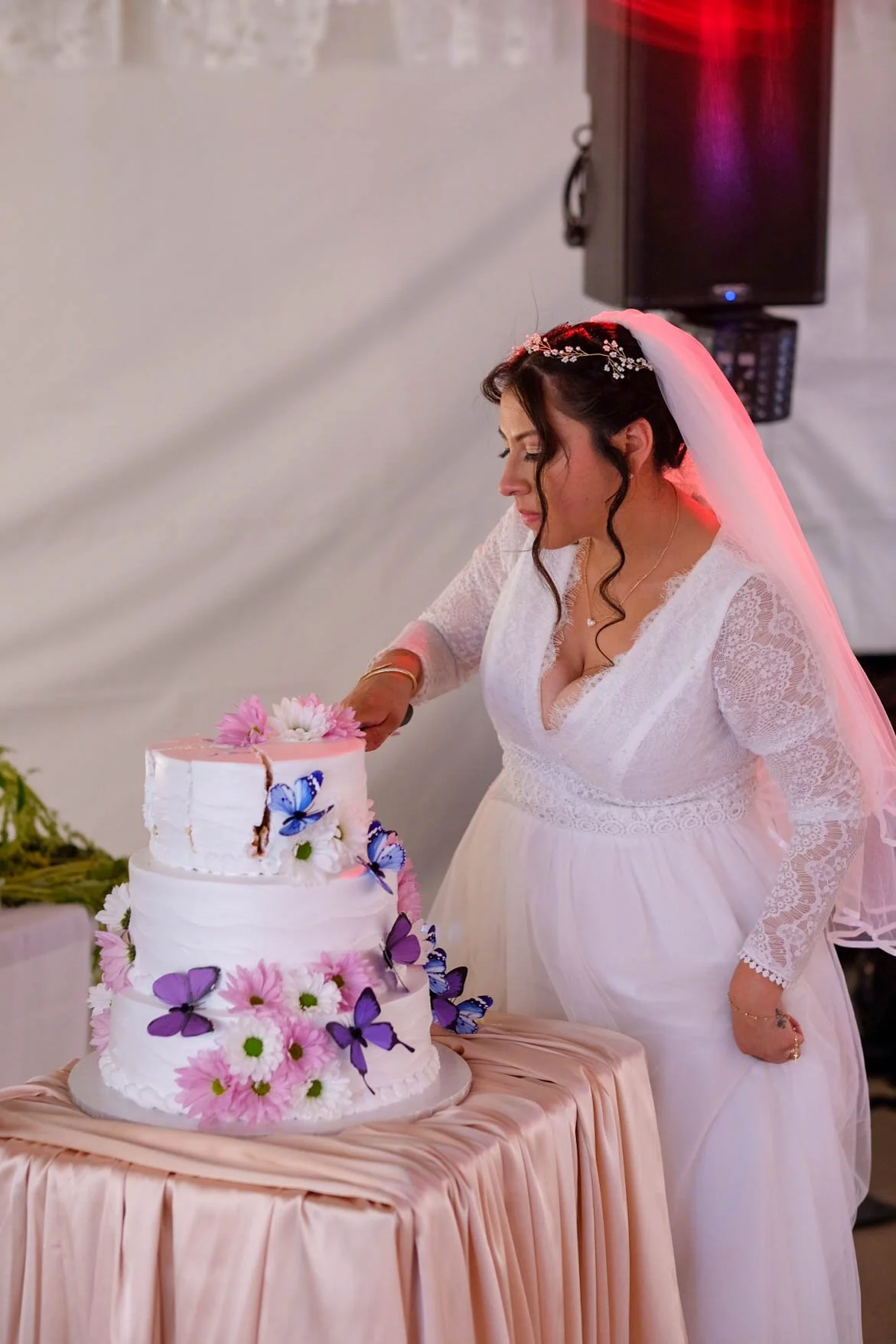 Angie and Amit Wedding (74 of 86).jpg