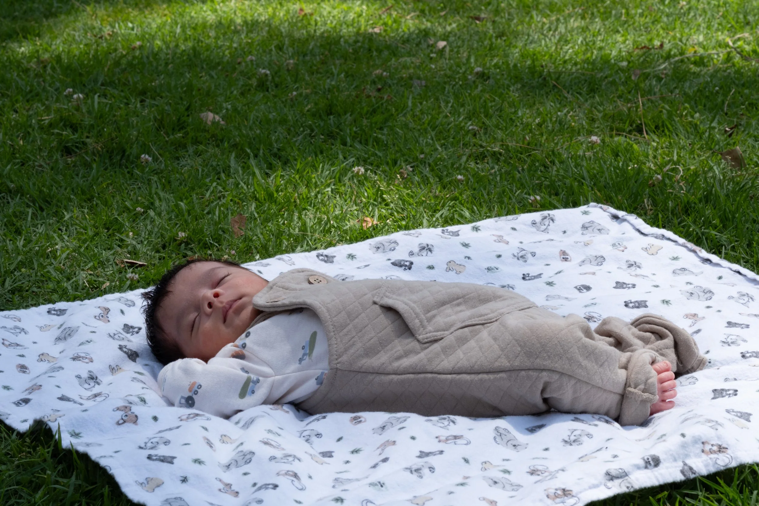 Family Photos-82.jpg