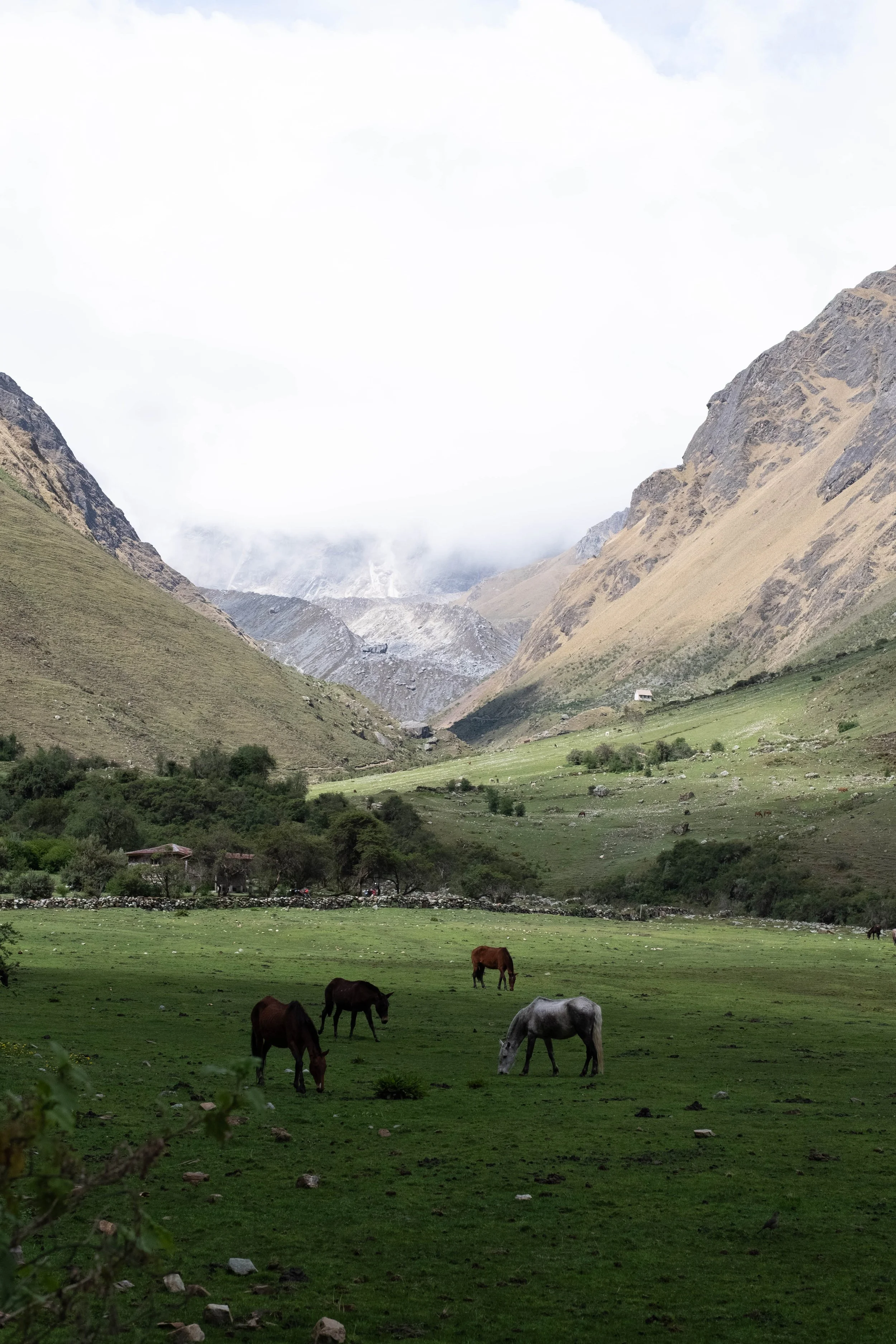 Peru Photos (445 of 1056).jpg