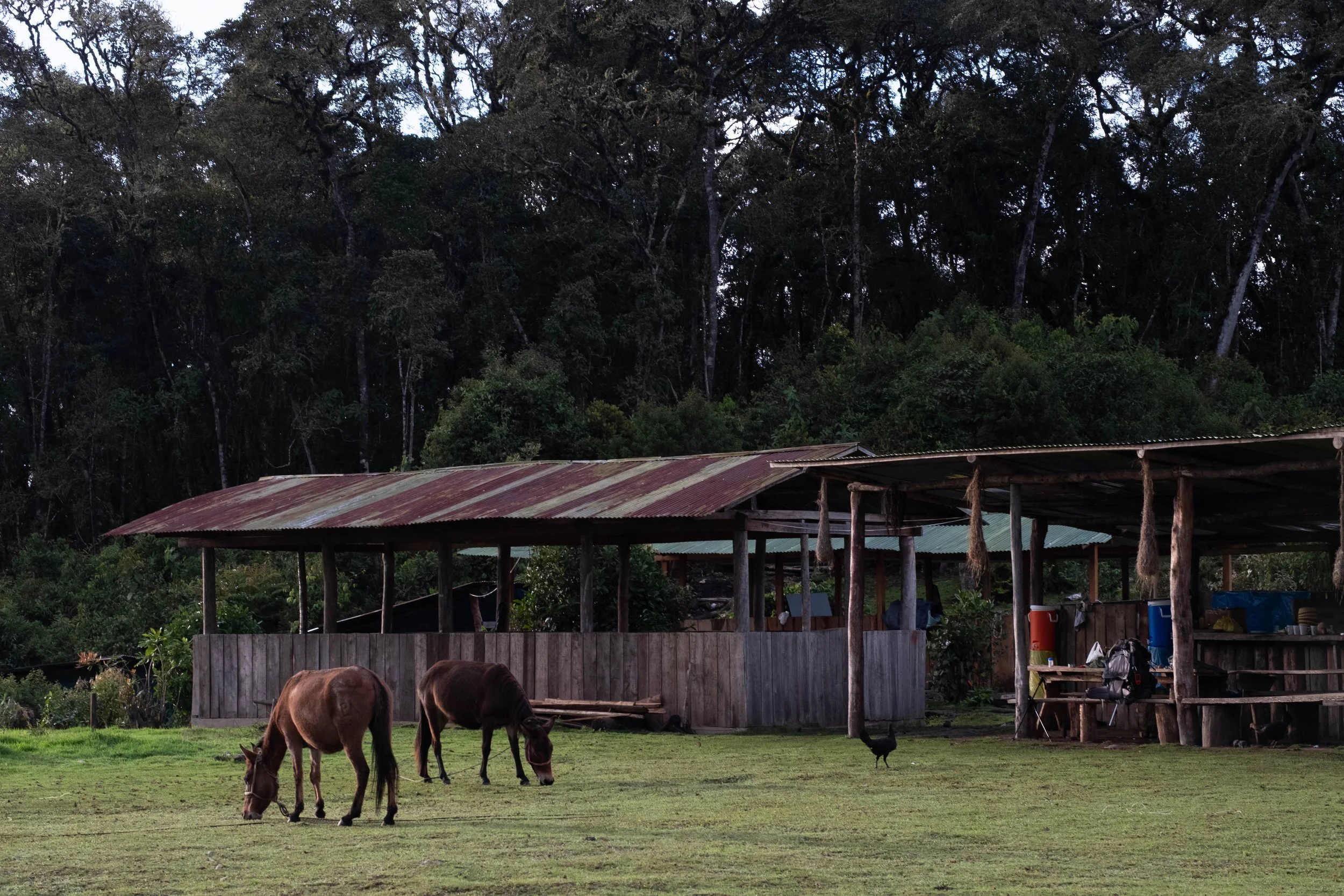 Peru Photos (625 of 1056).jpg