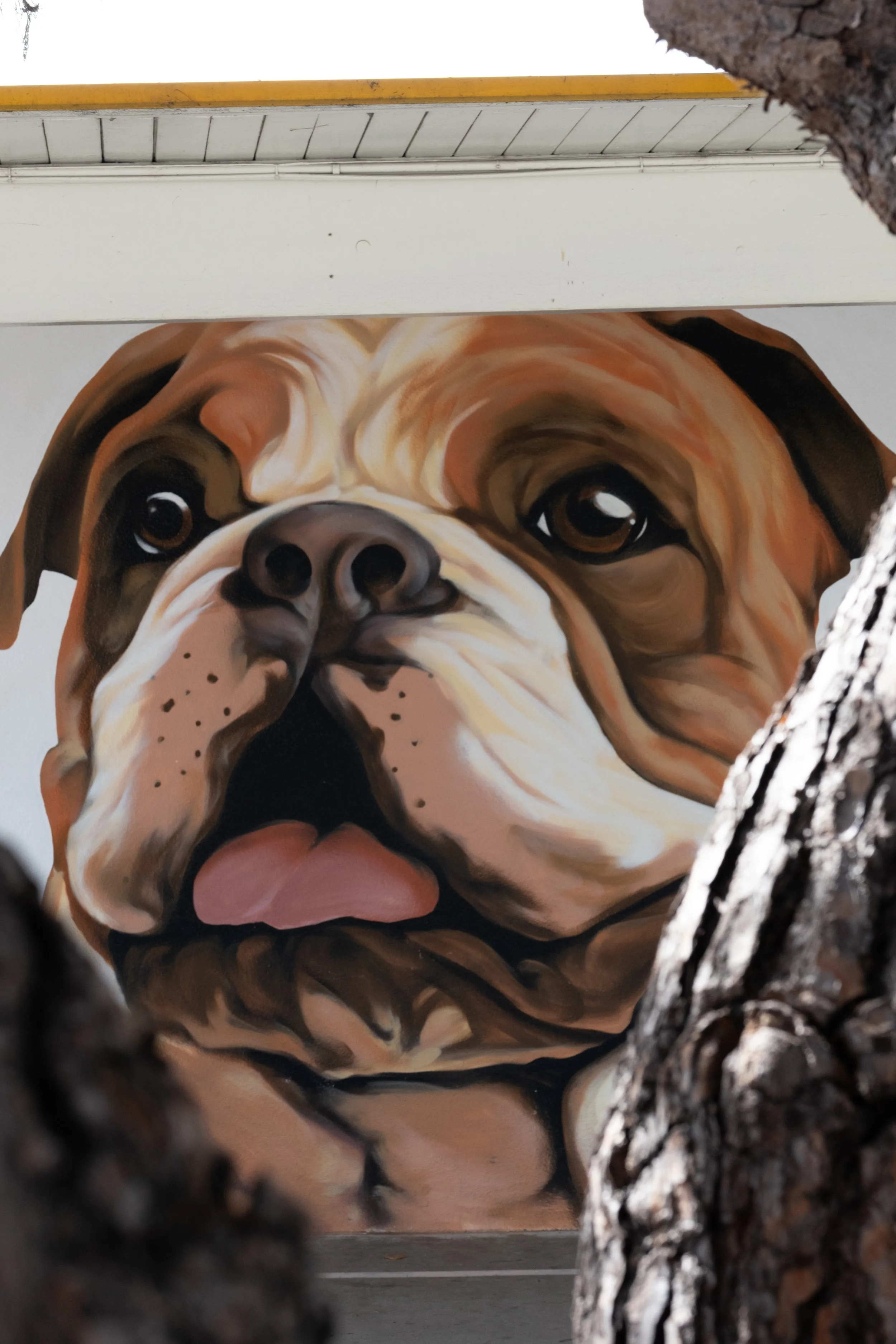 MindfulMurals-20.jpg