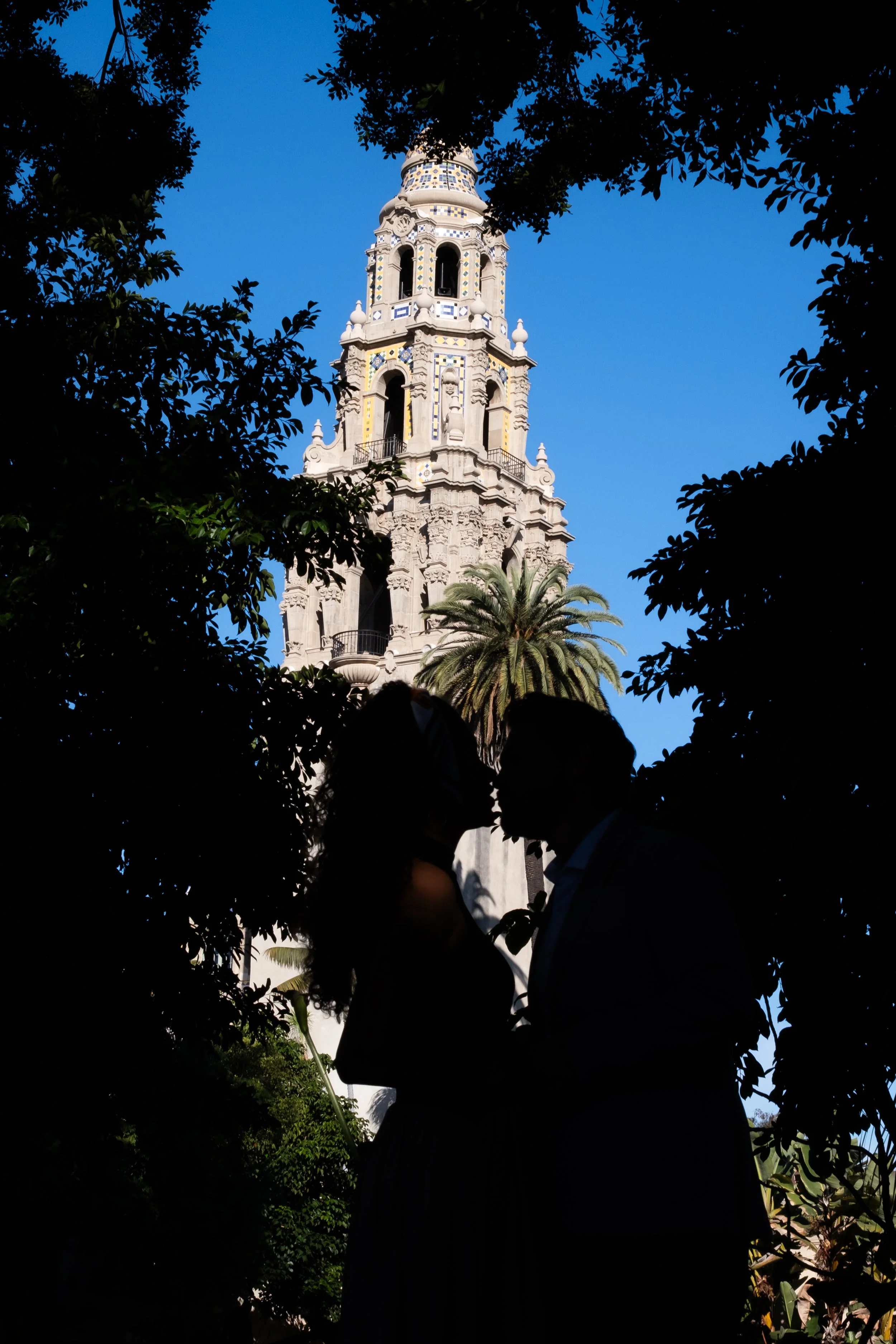 Engagement (1 of 116).jpg