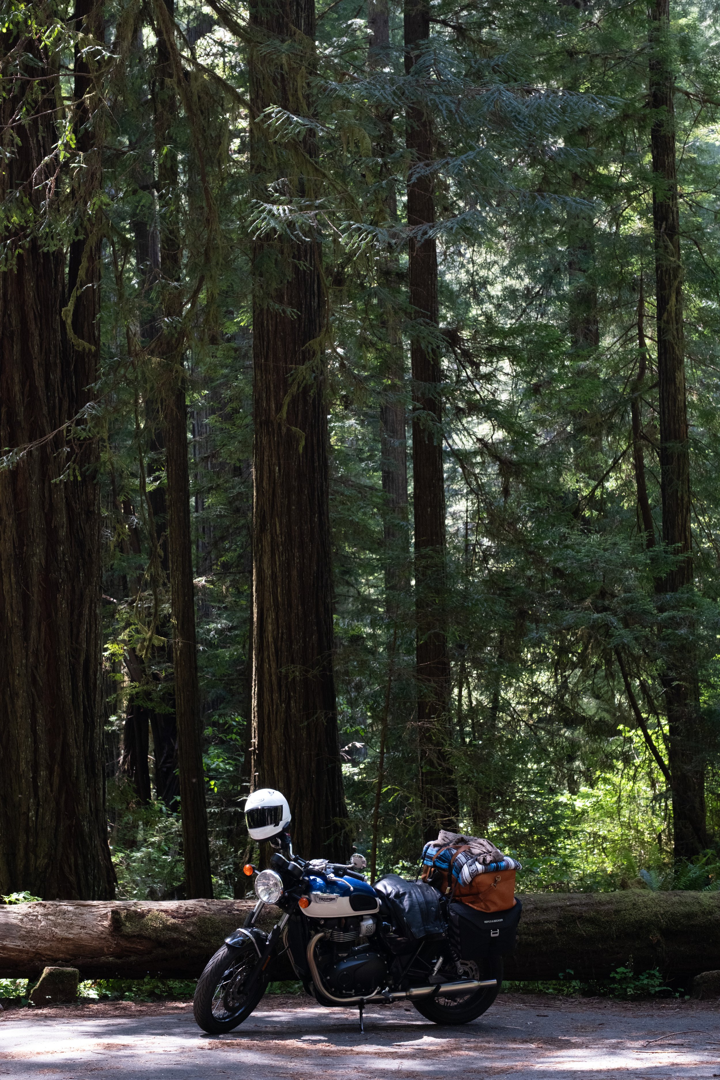 WestCoastTrip-56.jpg