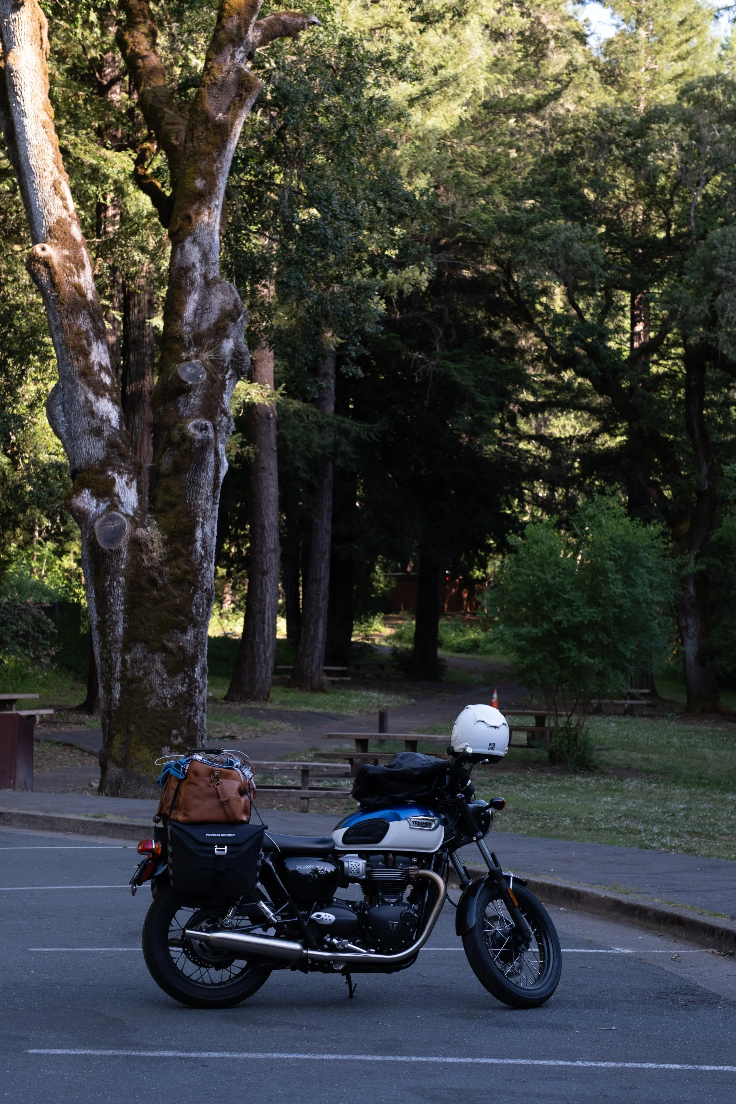 WestCoastTrip-46.jpg