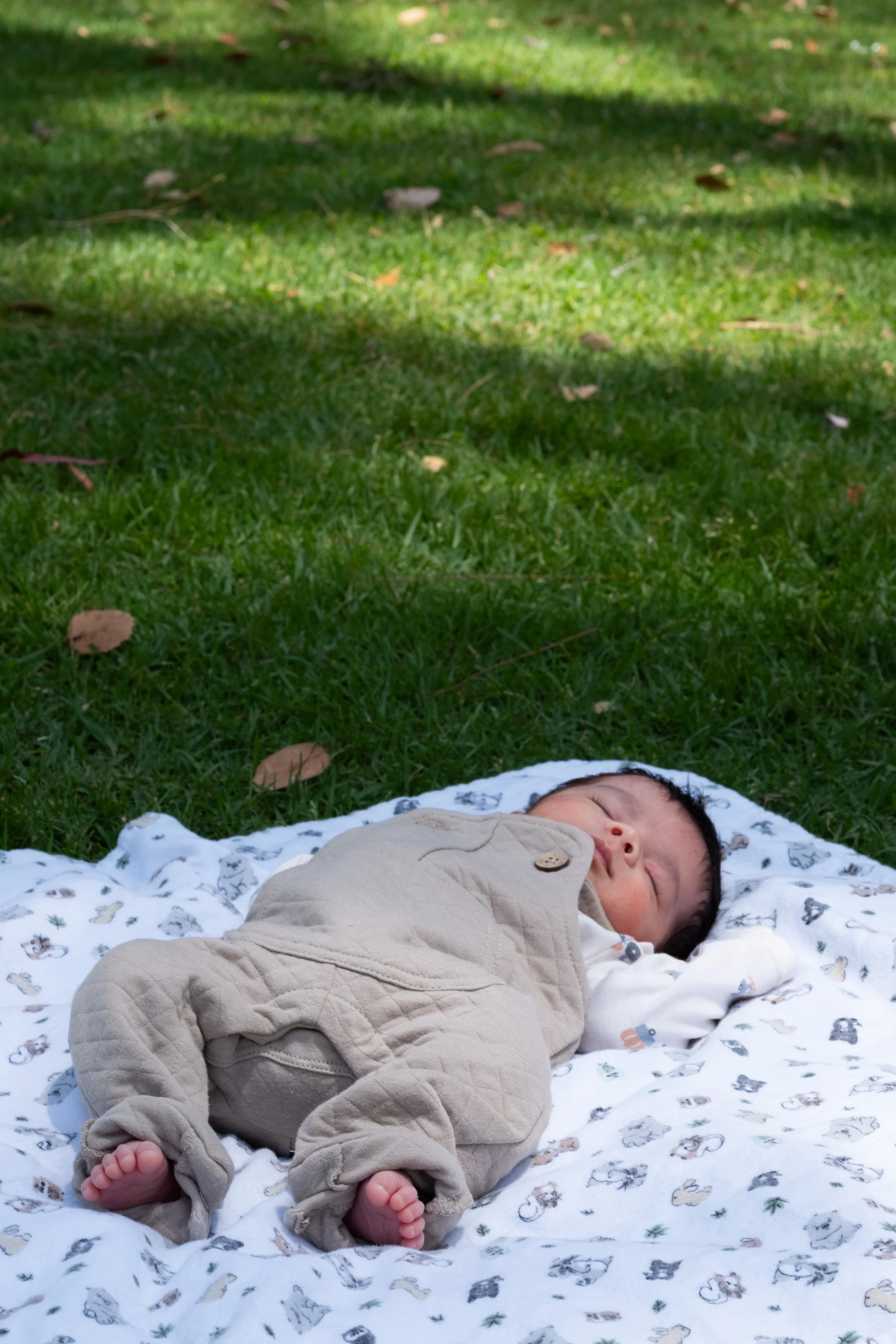 Family Photos-79.jpg