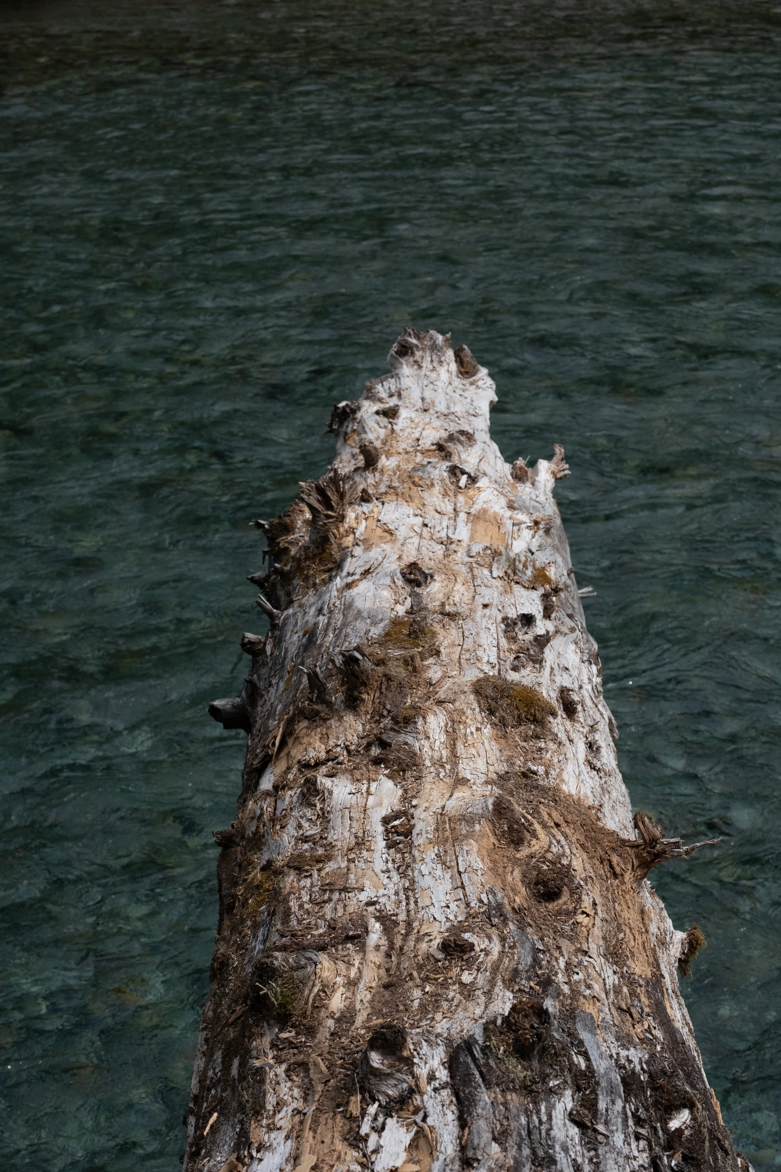 WestCoastTrip-120.jpg