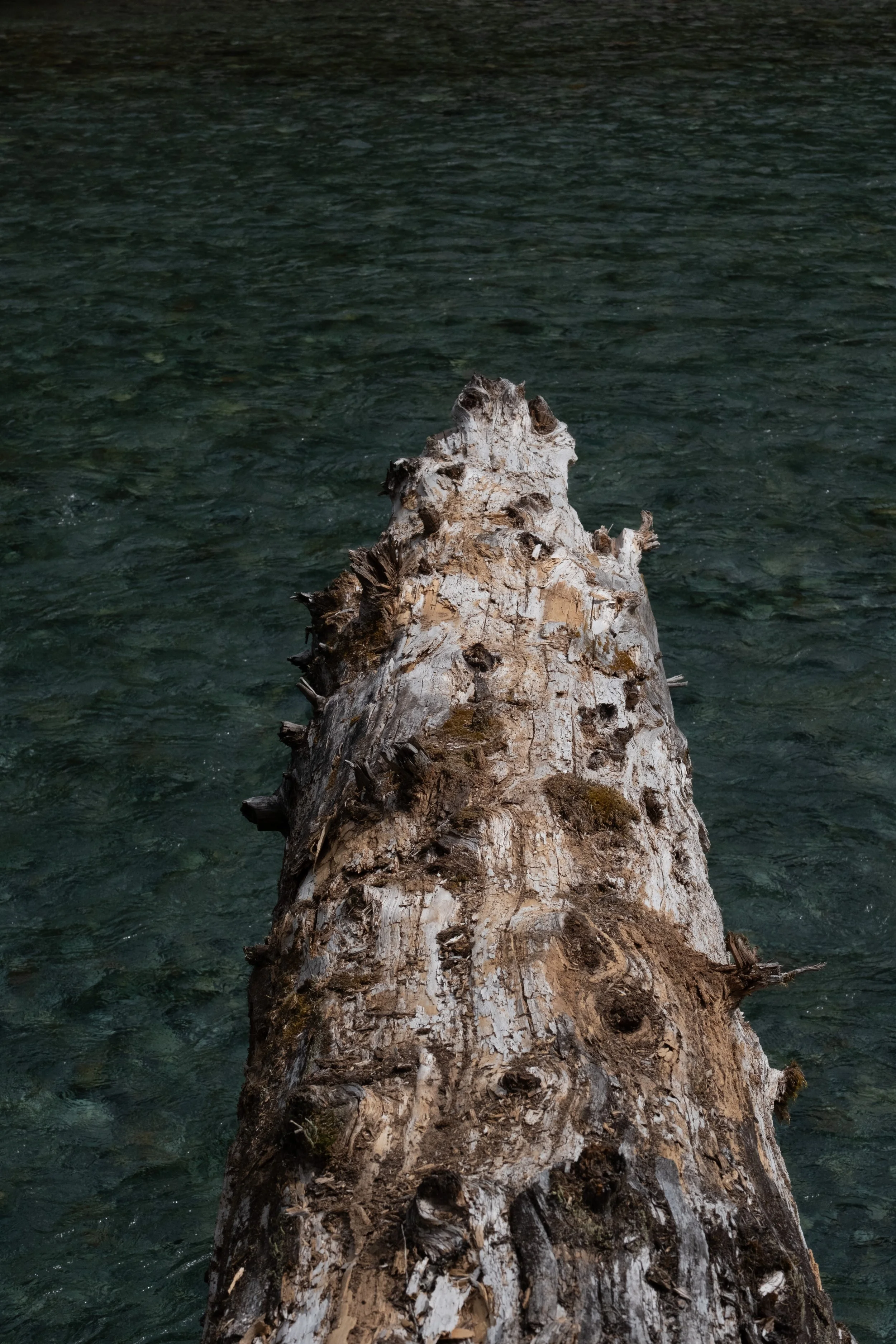 WestCoastTrip-121.jpg