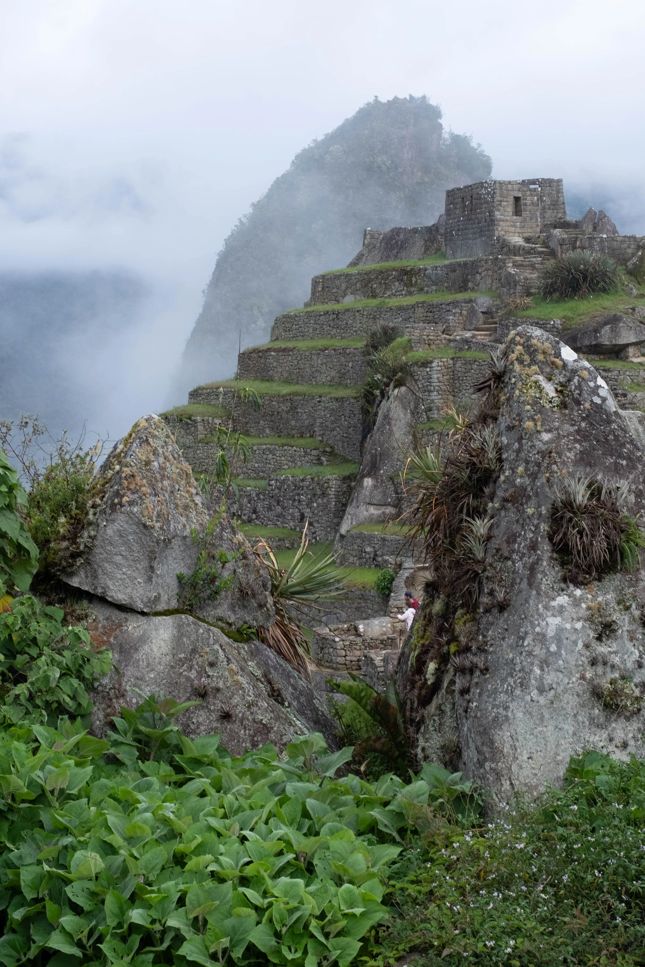 Peru Photos (885 of 1056).jpg