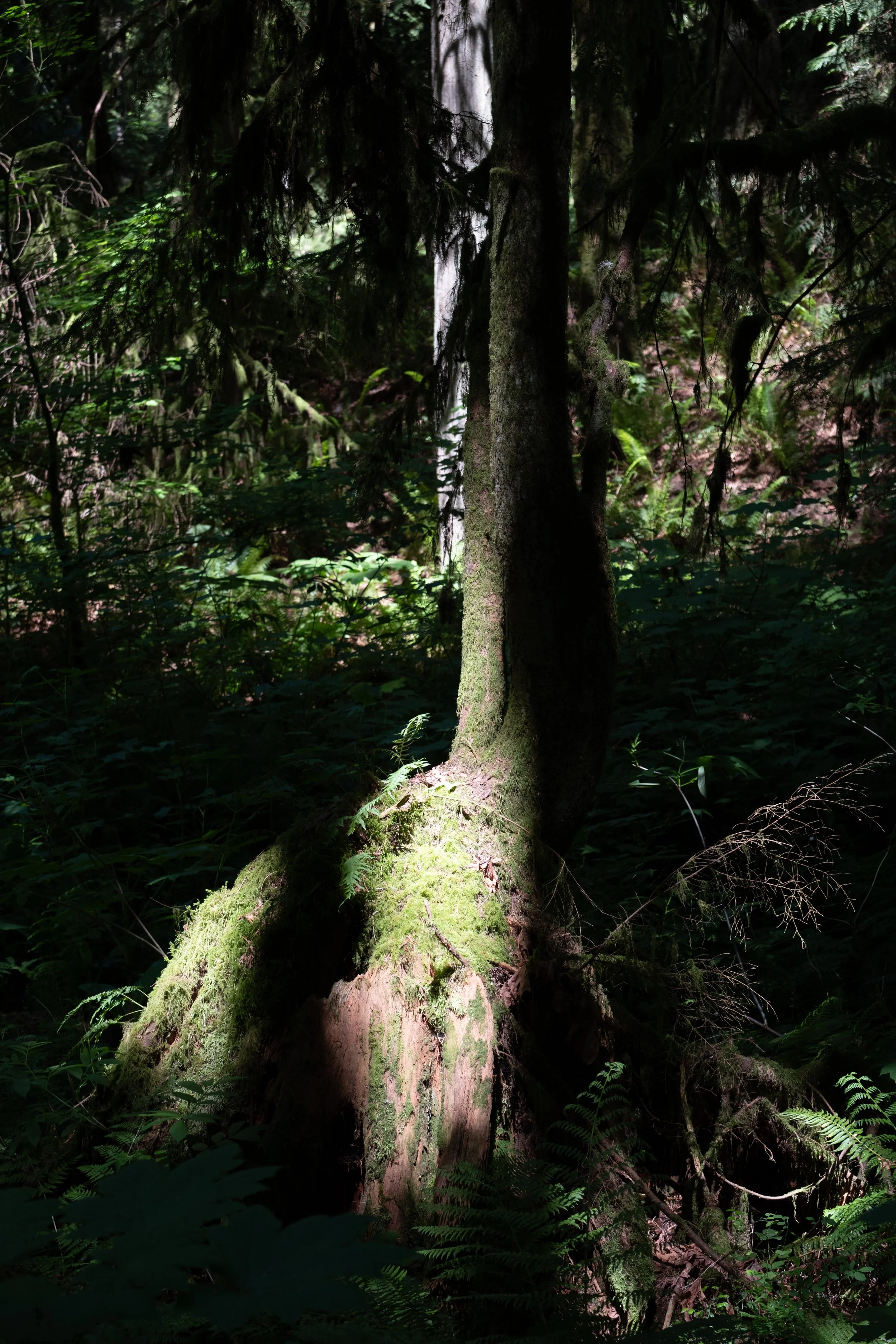 WestCoastTrip-86.jpg