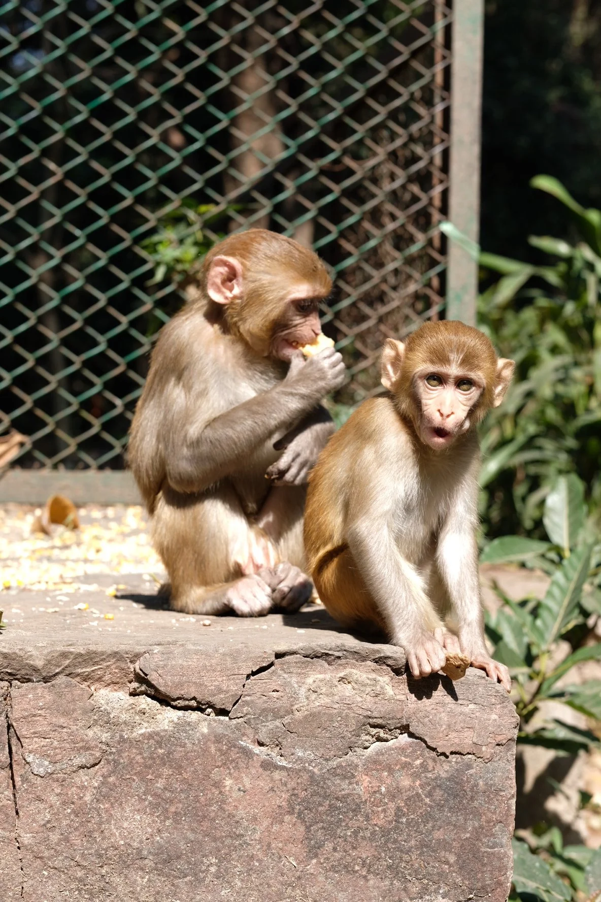 India 2026 (61 of 1053).jpg