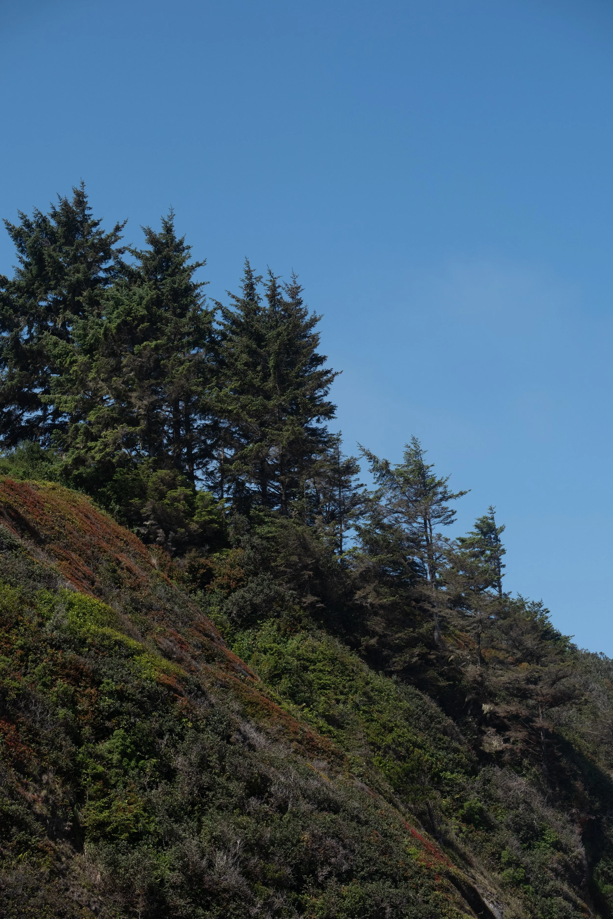 WestCoastTrip-50.jpg