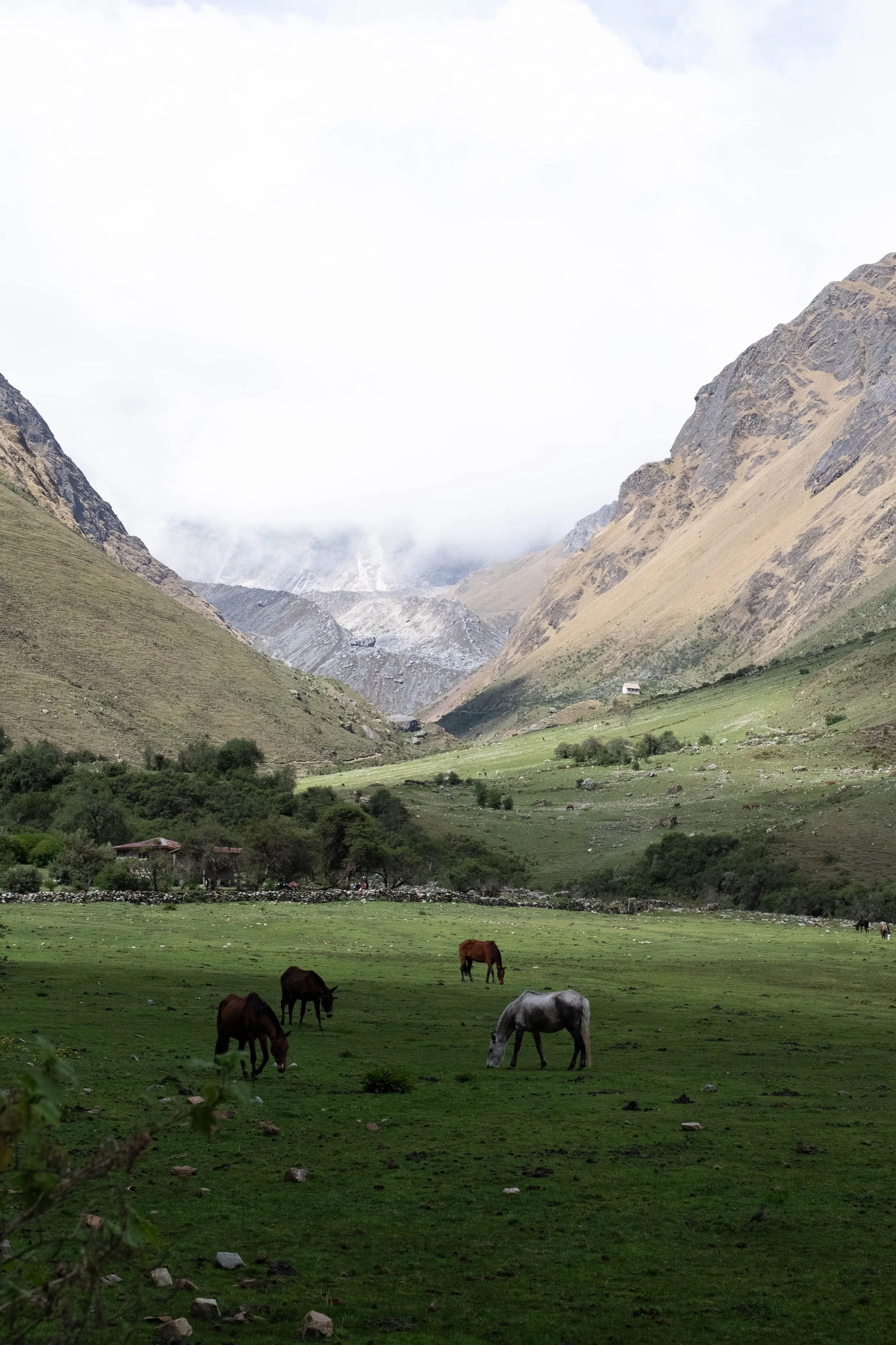 Peru Photos (444 of 1056).jpg