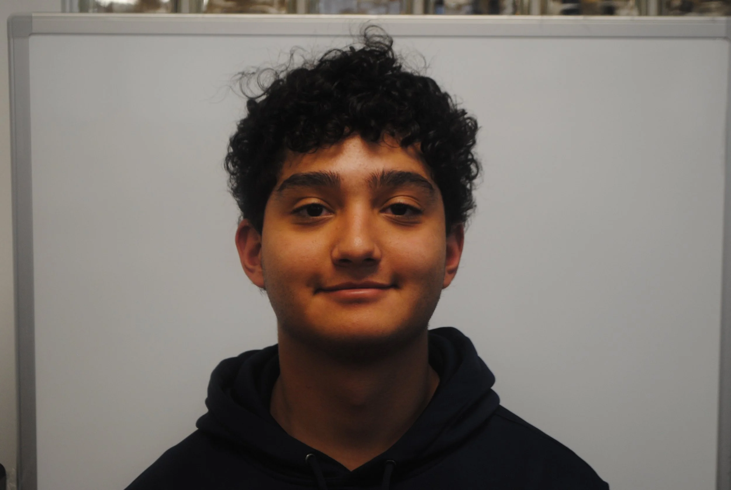 A young man with curly dark hair smiling slightly, wearing a black hoodie, standing against a plain white background.