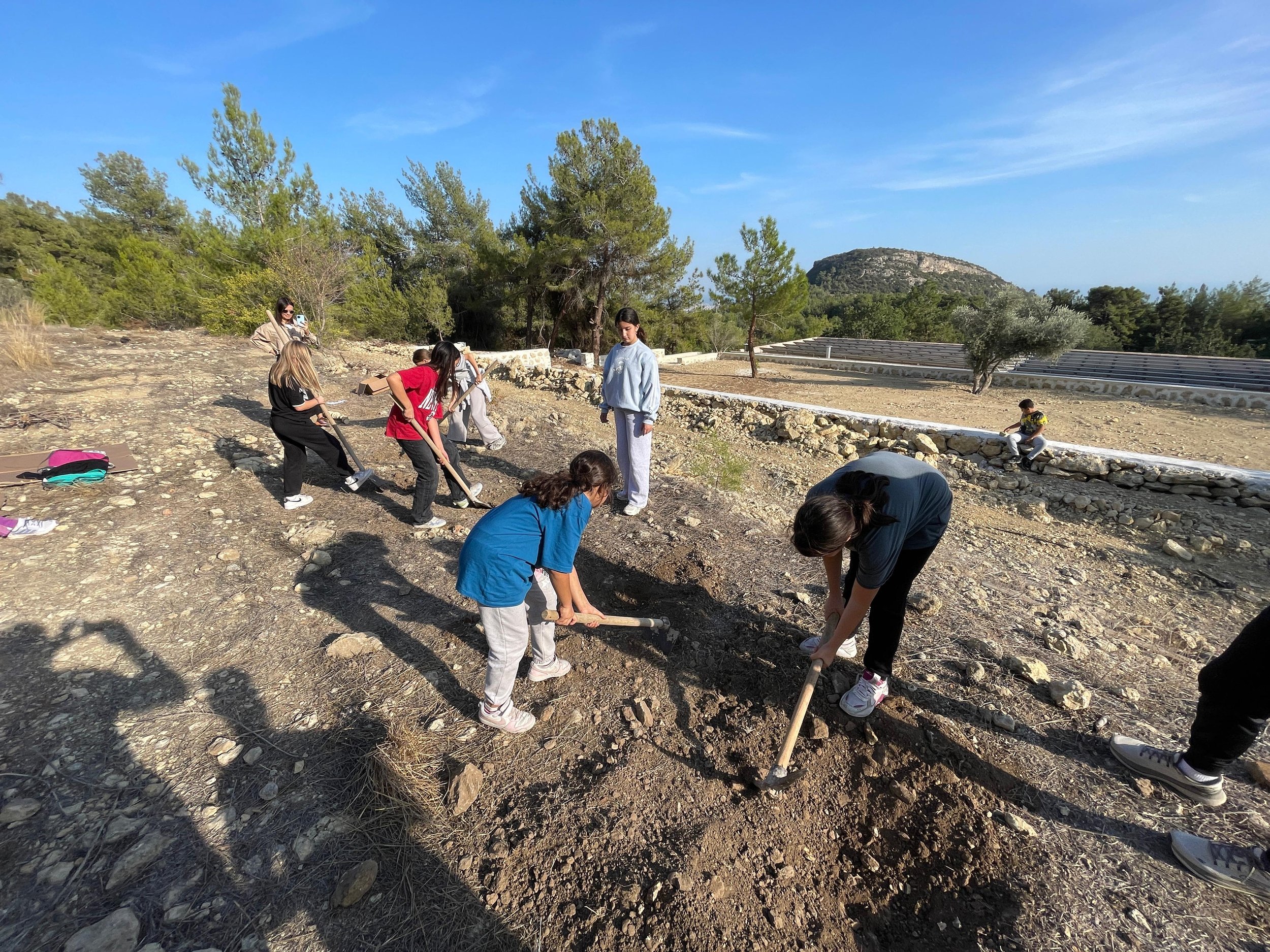 Matrix’ten kaçış: Orman Okulları çağımızın yeşil hapı olabilir mi?