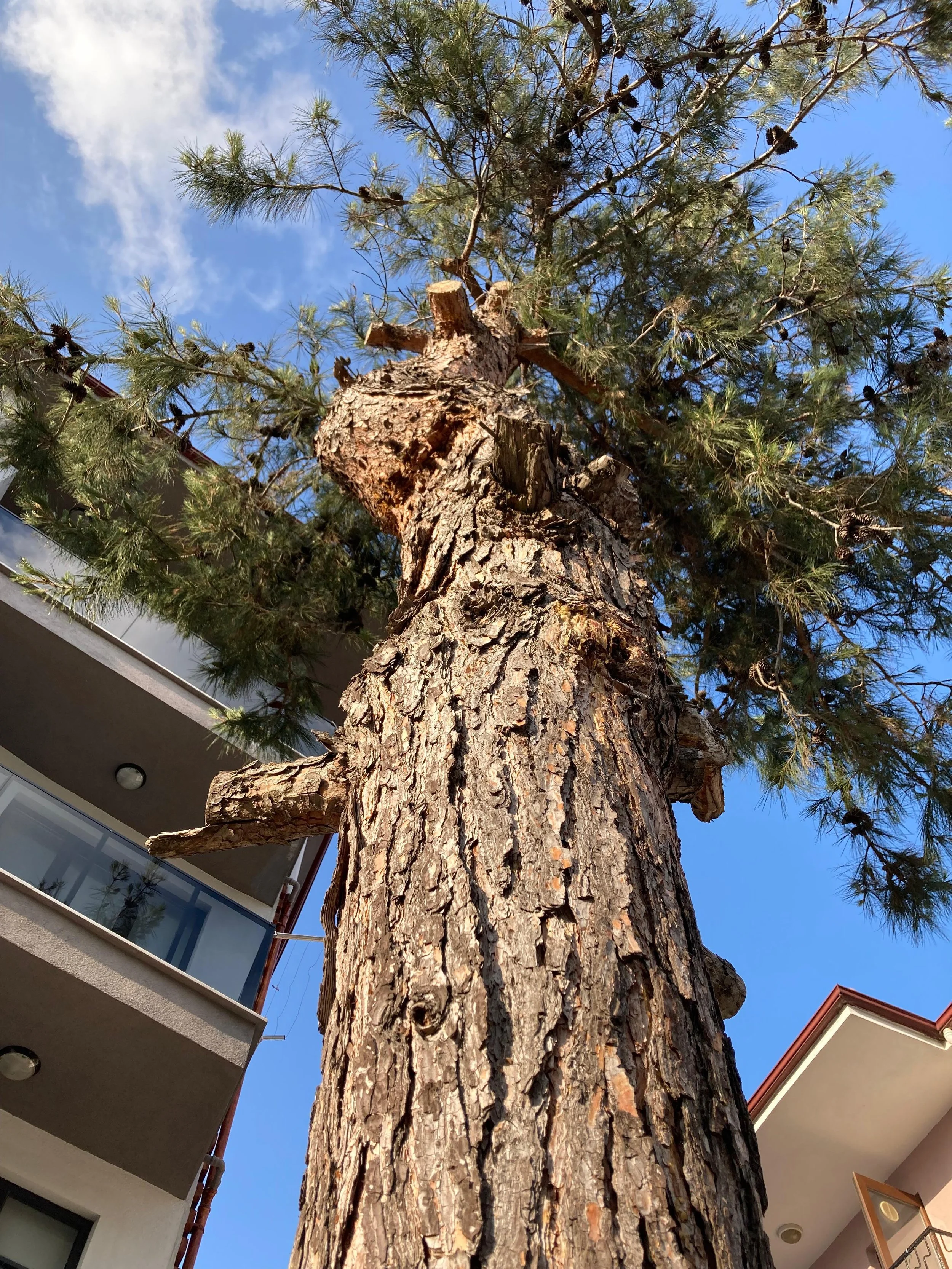 WhatsApp Image 2026-01-31 at 20.02.53.jpeg