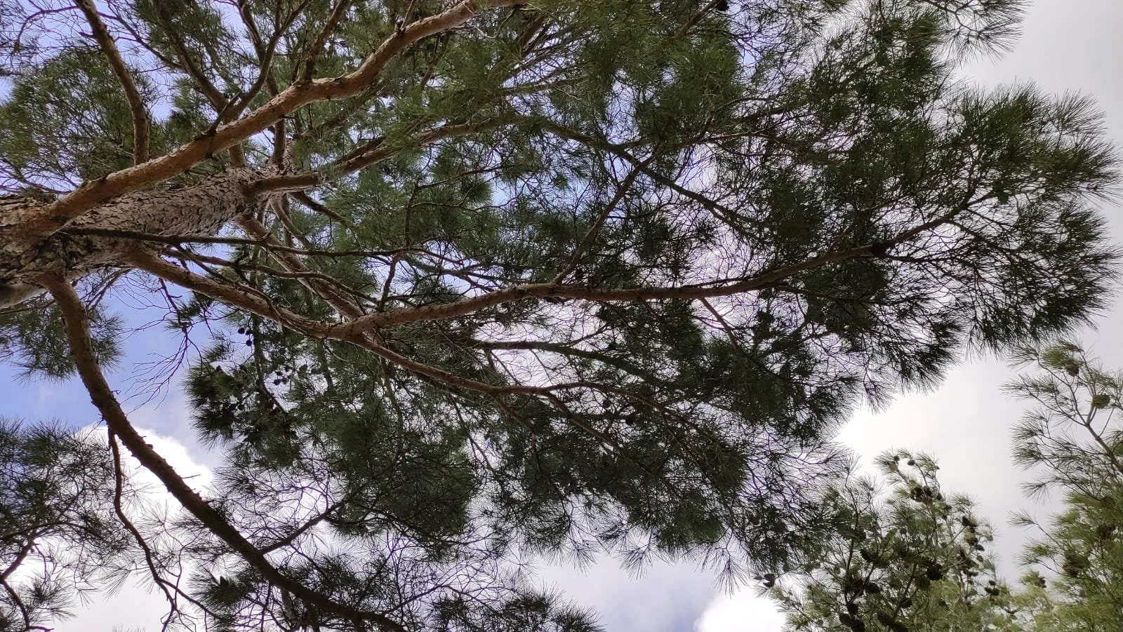 WhatsApp Image 2026-03-20 at 01.23.54.jpeg