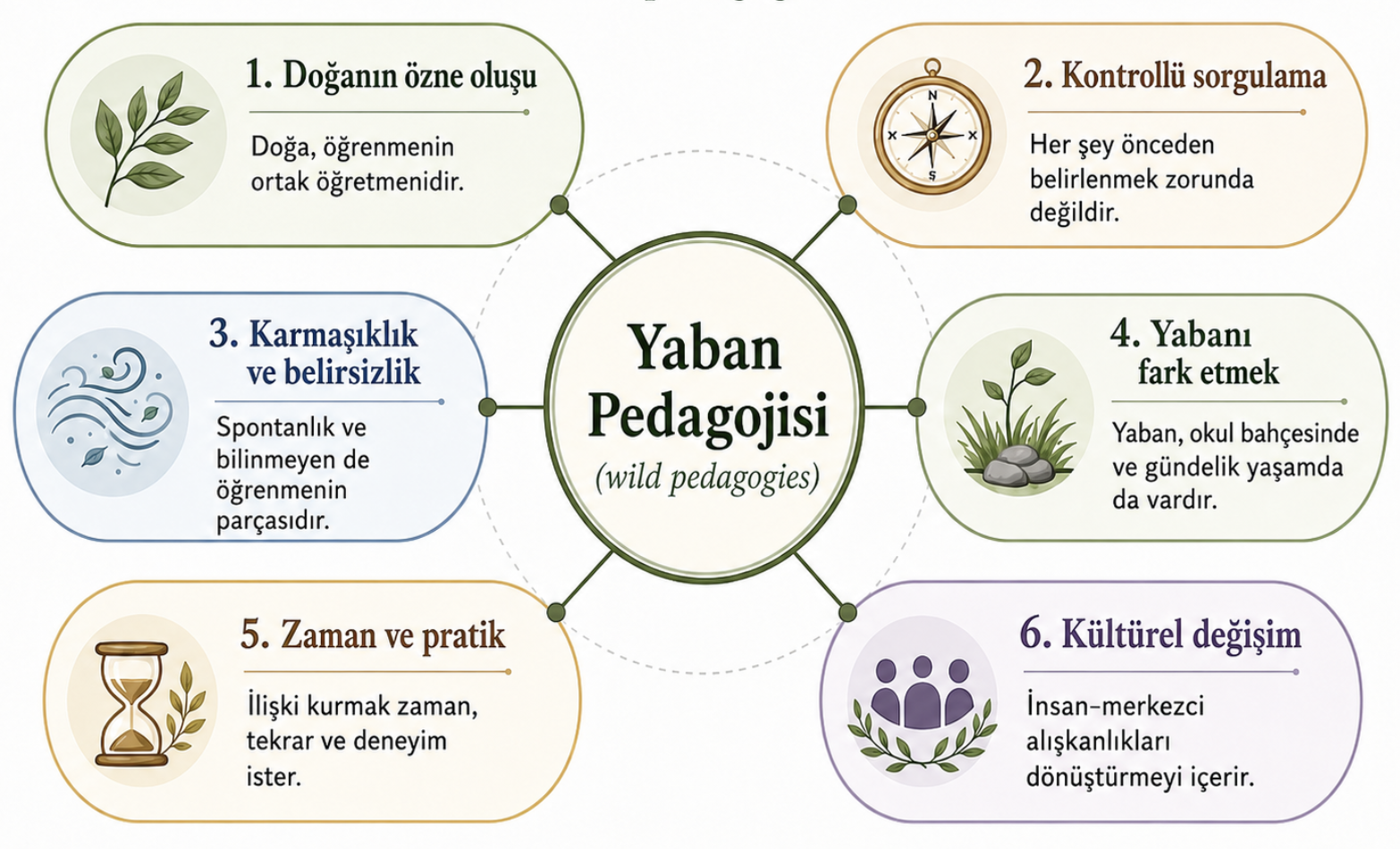 wild pedagogy.png