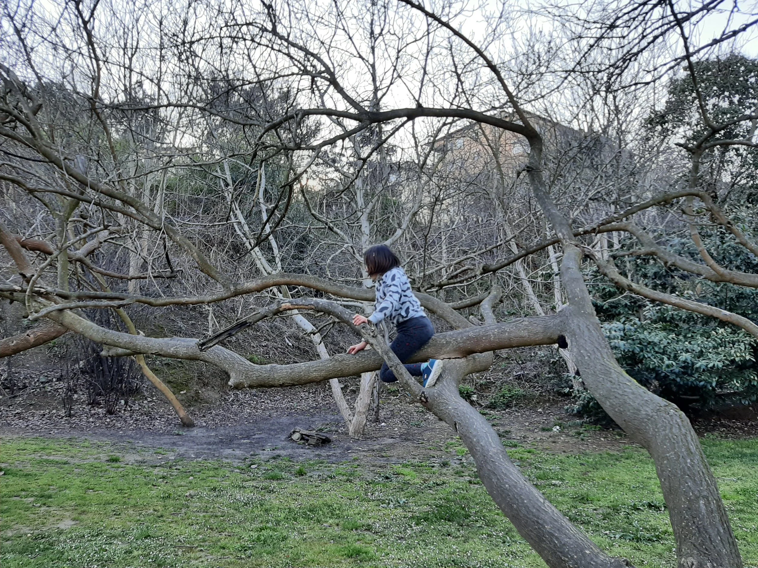Alıç Ağacında Çiy Tanesi: Dünyadaş Podcast