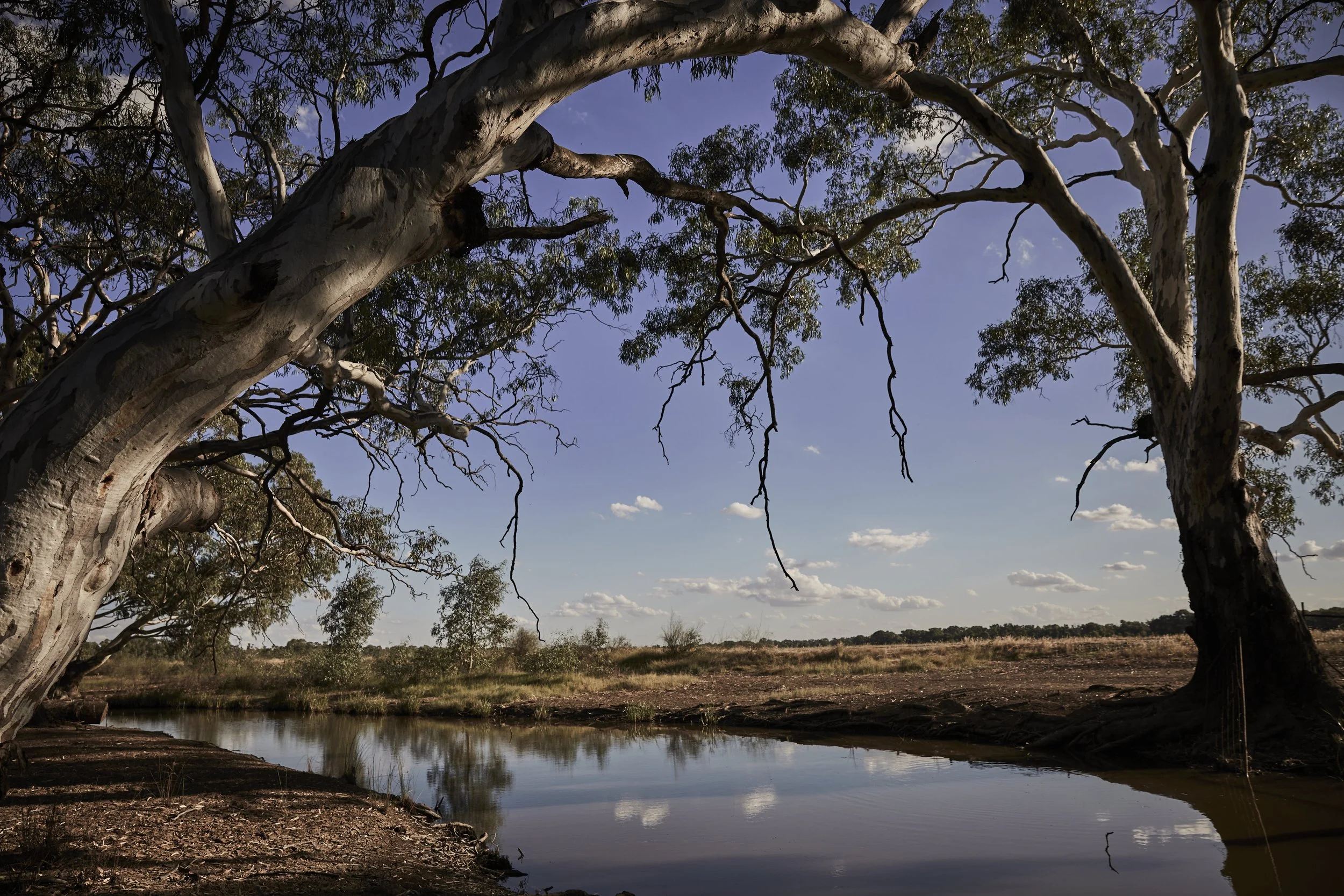 Floodplains - Part 1