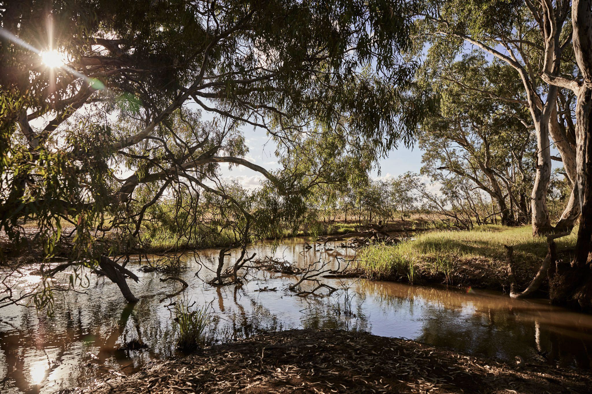 Floodplain - Part 3
