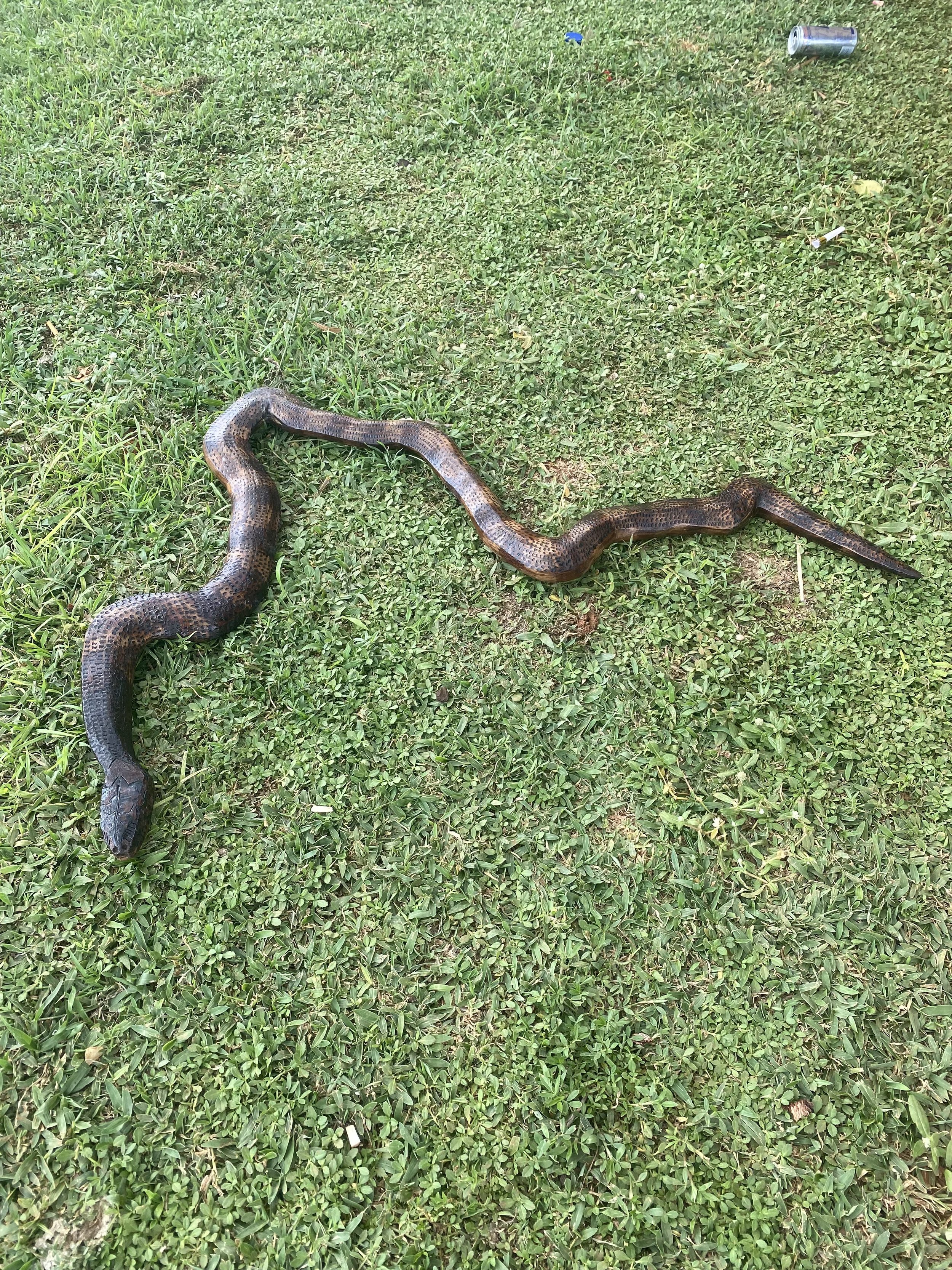 Lloyd Website Image snake.jpg