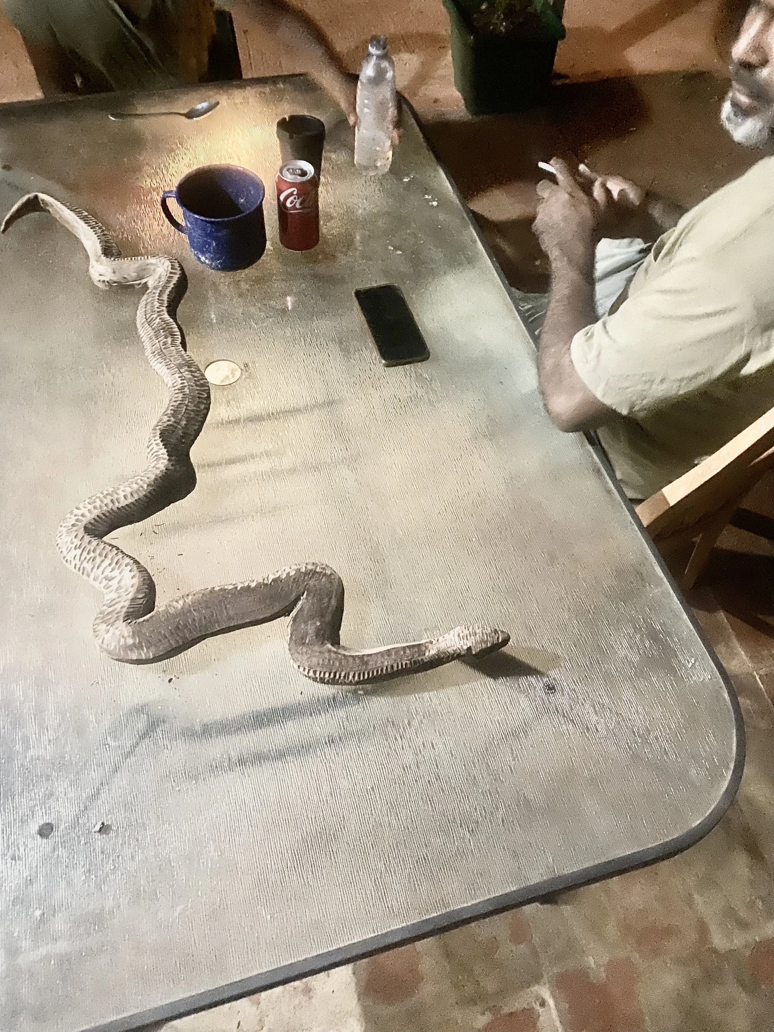 Lloyd Website Image 4804.jpg