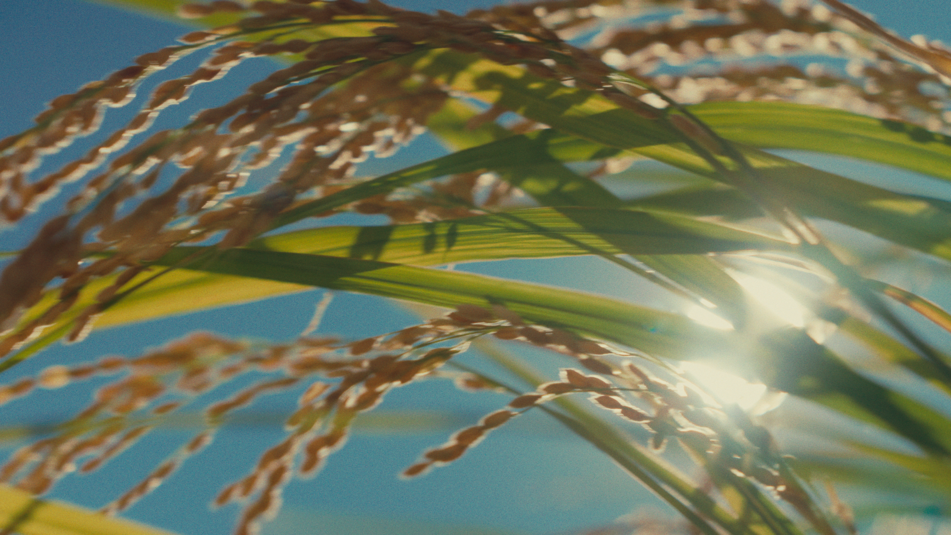 Untitled_1.315.1-2.png