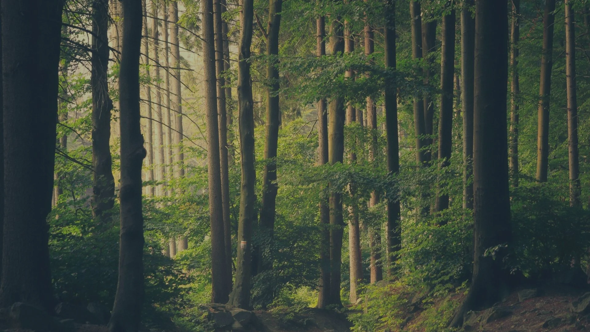 RSM Norge og Advokatfirmaet Berngaard inviterer til frokostseminar