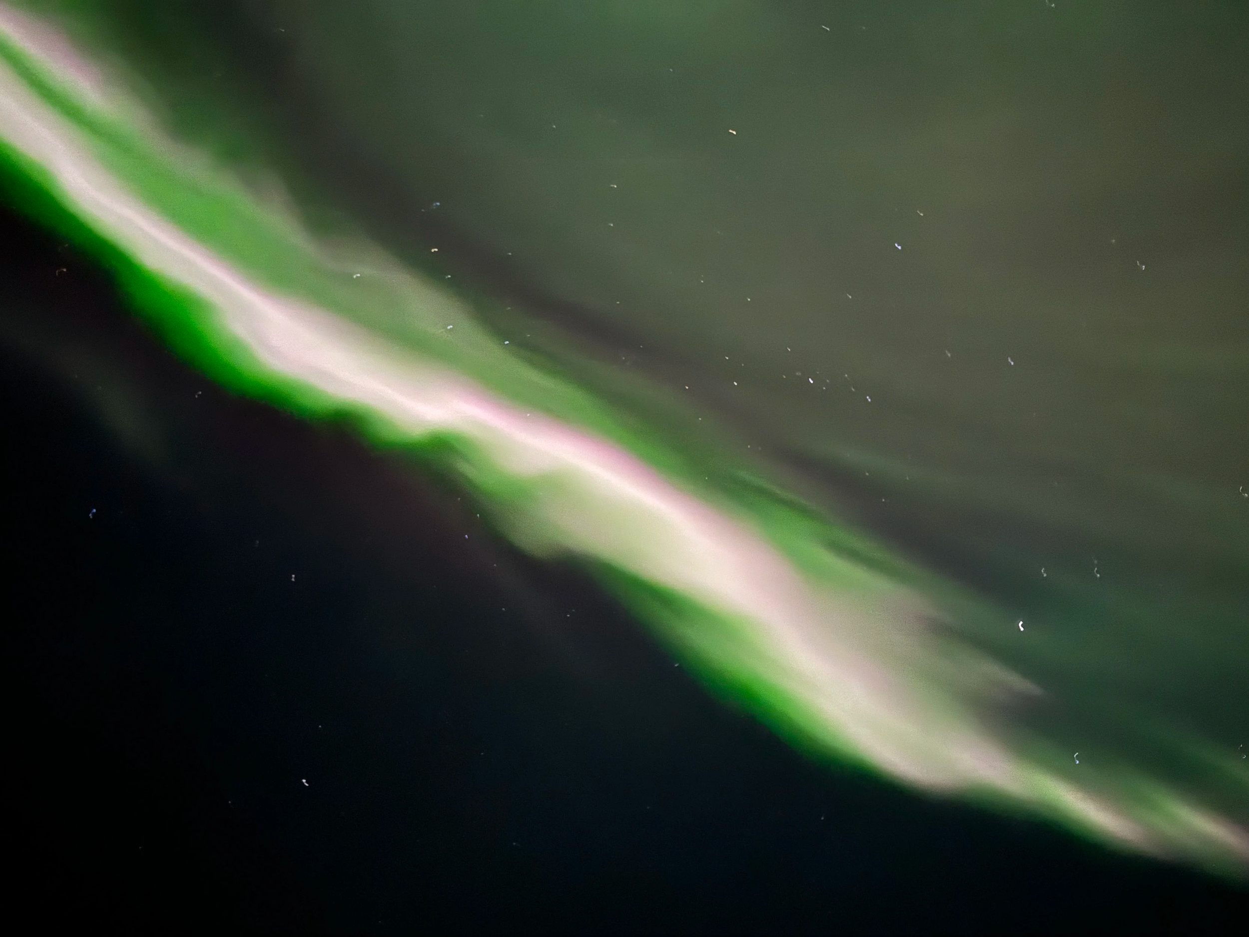 Northern Lights dancing across the Arctic sky above Tromsø – a magical aurora borealis experience in Northern Norway.