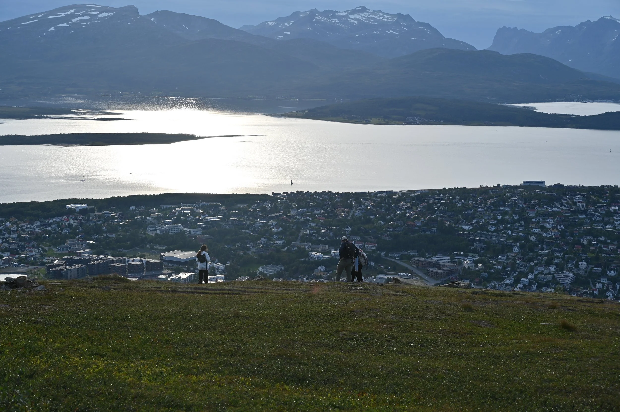 Breathtaking view over Tromsøya island and the surrounding fjords from the top of Fjellheisen — a highlight of many Tromsø tours and hikes.
