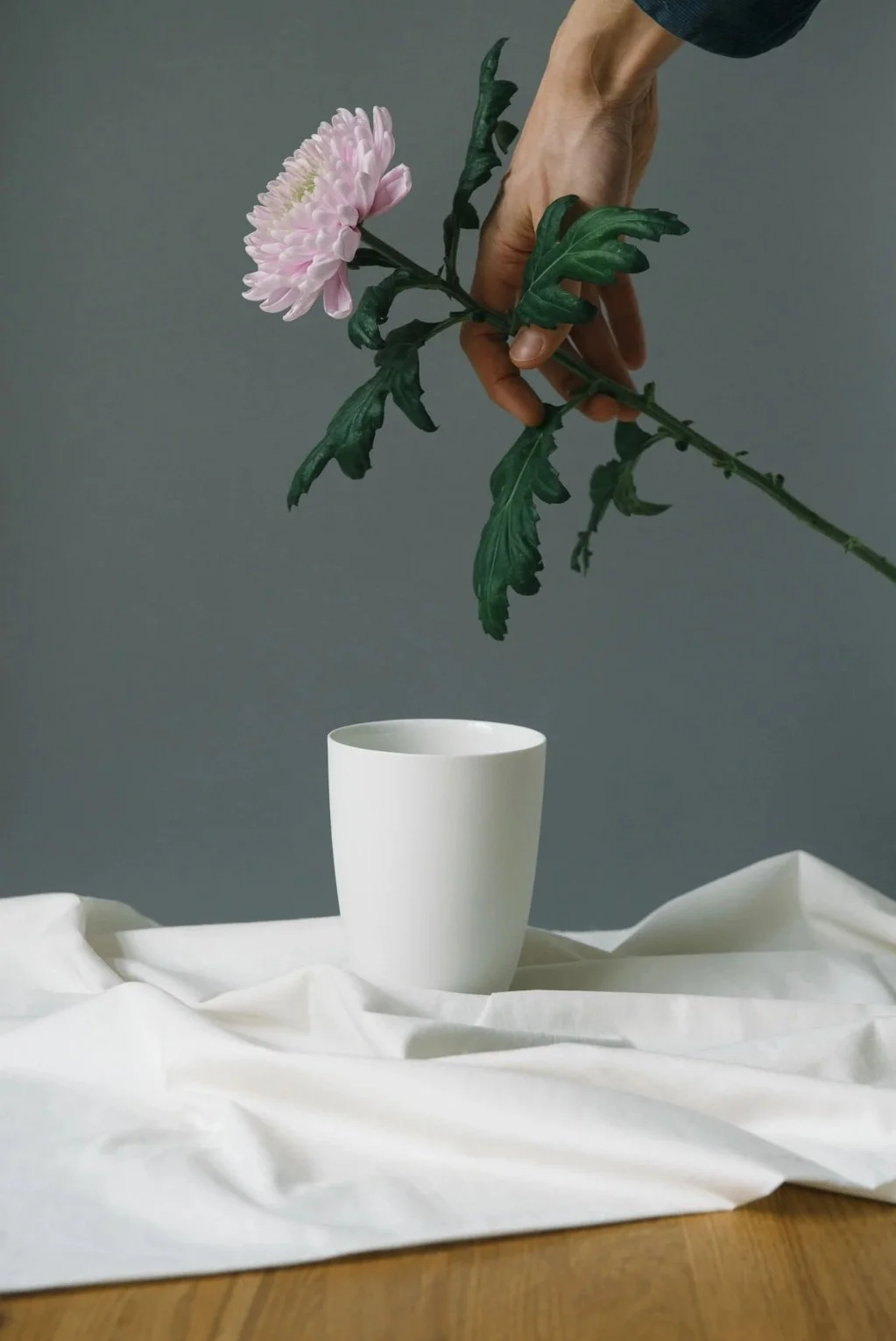 Schoemig Porzellan.jpg