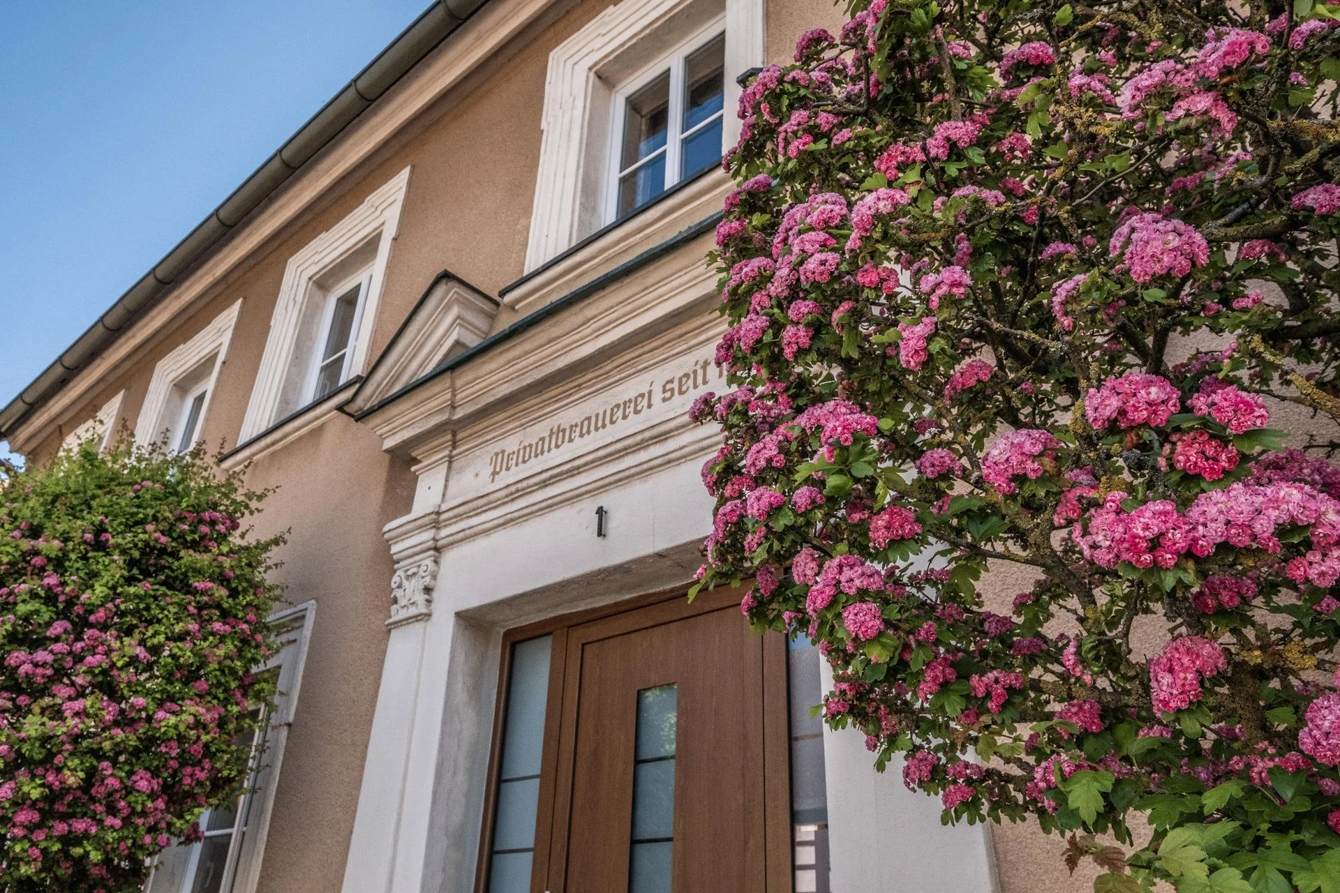 Ammerndorfer_Details (46).jpg