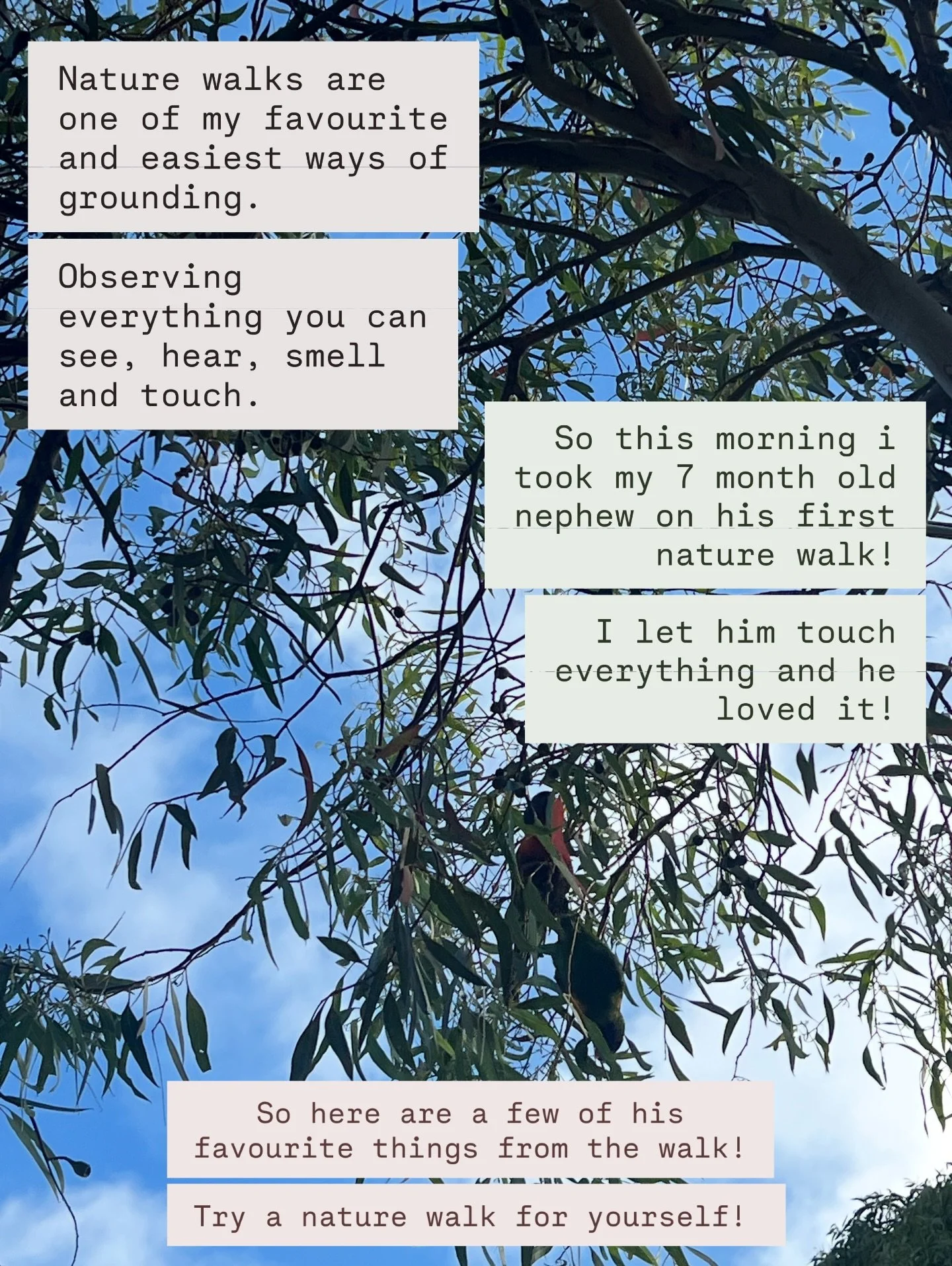 Next time youre on your walk notice,
Notice the sounds, smells, beauty in the way nature looks and feels.
Feel gratitude and awareness of the world around us!

When i took my 7 month old nephew on a nature walk this morning he LOVED it. He touched ev