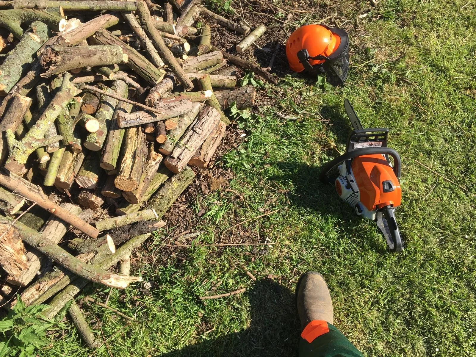 Cross_cutting.jpg