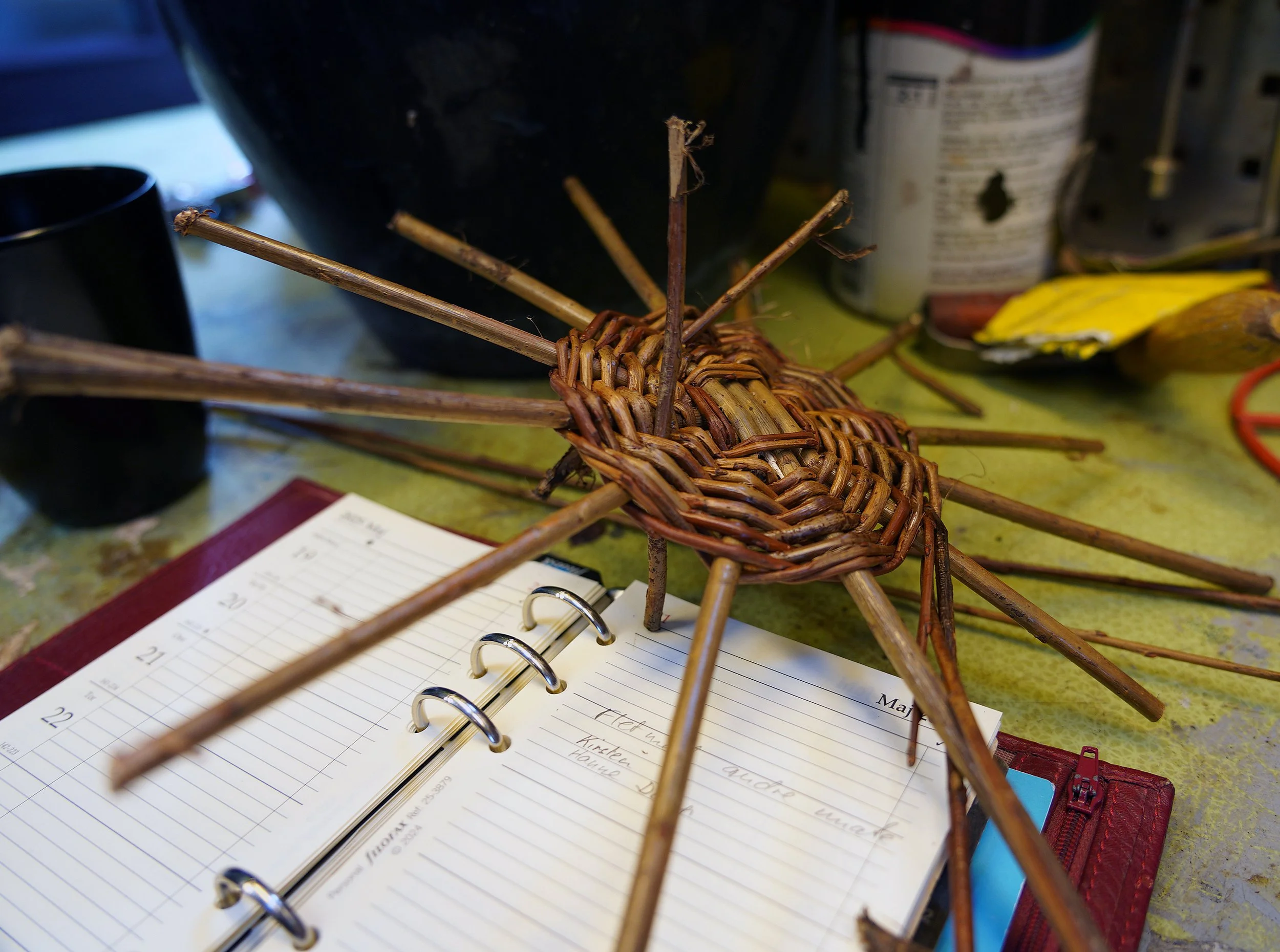 Kursus i almindelig pileflet