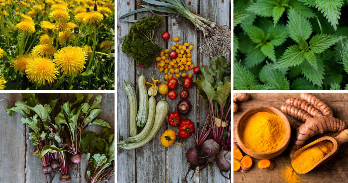 Forår, Fornyelse og Lever-sundhed