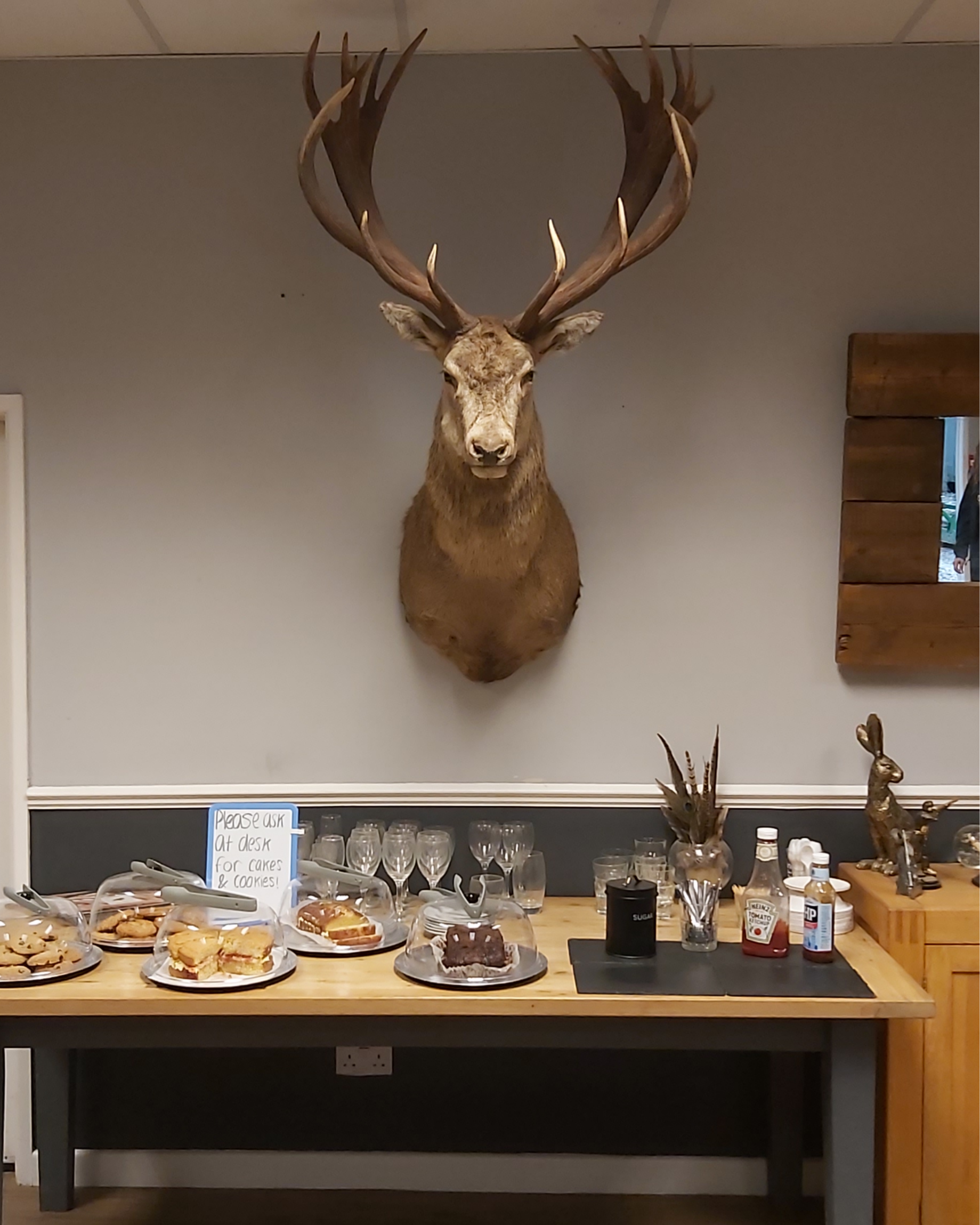 Bacon sandwich Burger Cake Cookies