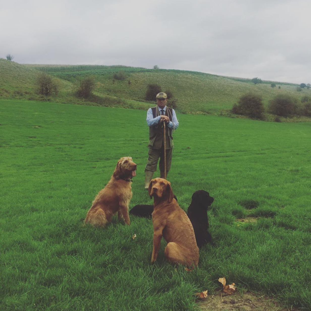 A man standing on a grassy field with four dogs sitting in front of him, with hills and trees in the background. Game shooting.