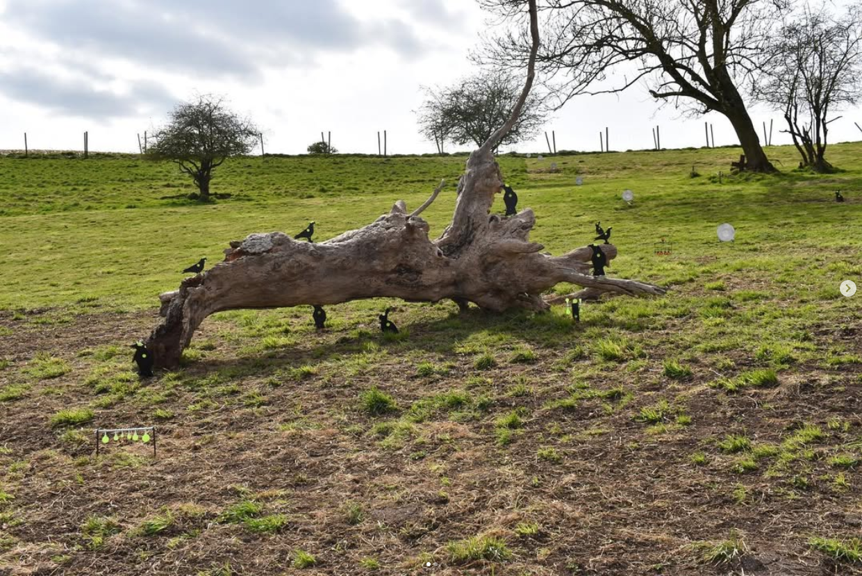 A large fallen tree with black bird-shaped targets on it and on the ground in a grassy field, with trees and a cloudy sky in the background.