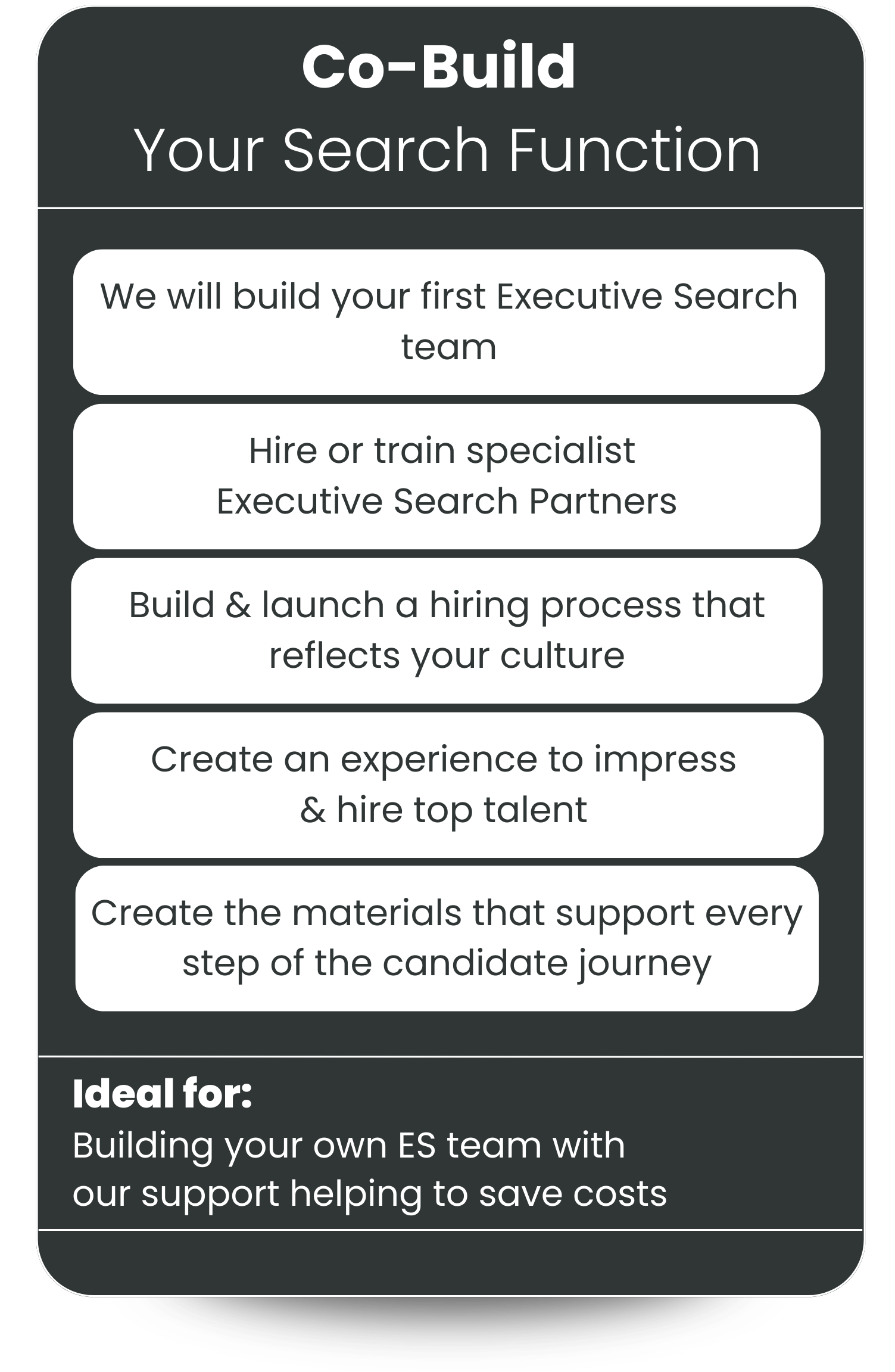 A flyer titled 'Co-Build Your Search Function' with steps on building a search team and a section indicating it's ideal for building your own executive search team with support to save costs.